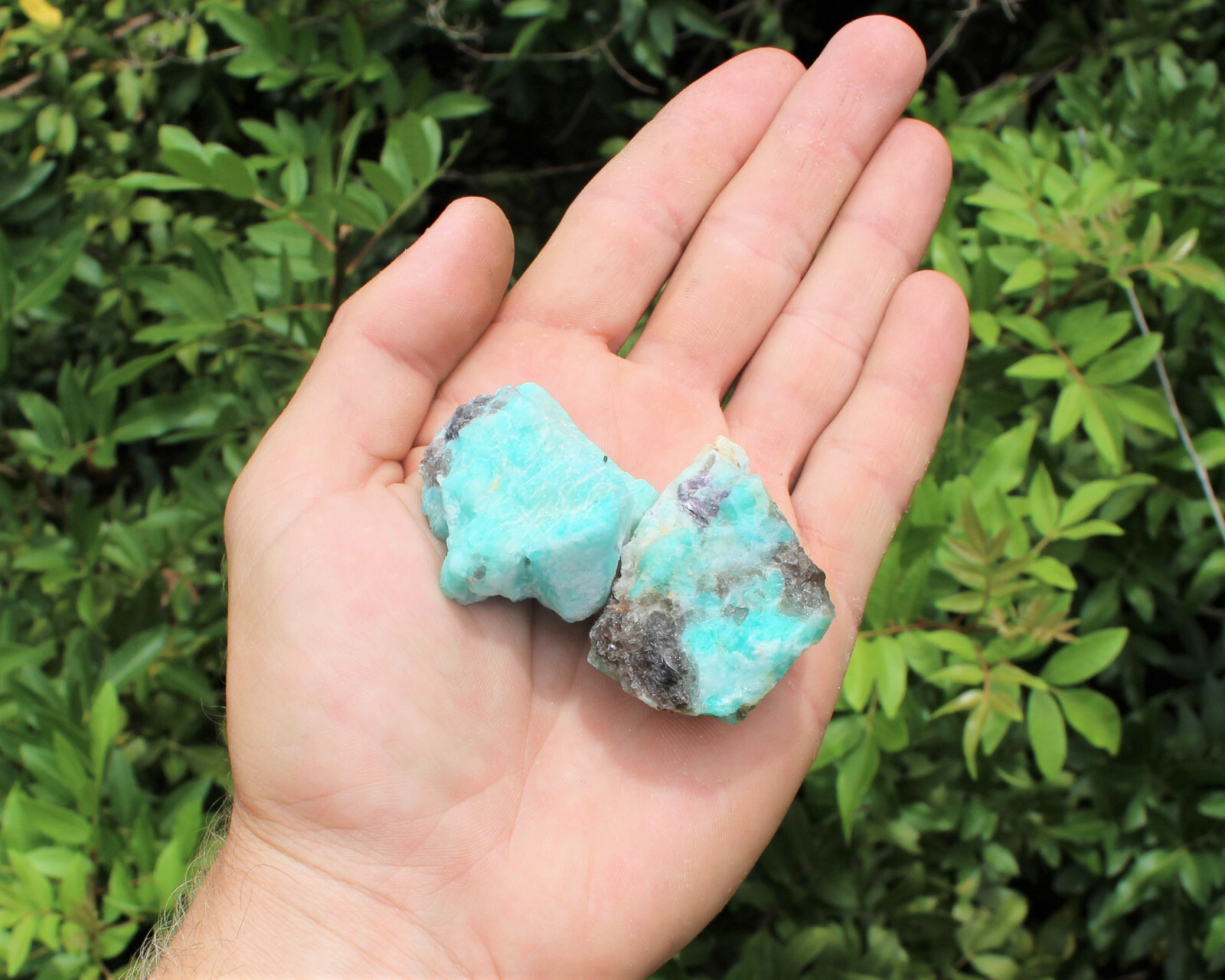 Raw Natural Amazonite Crystals: Choose How Many Pieces (Rough Amazonite Crystal)