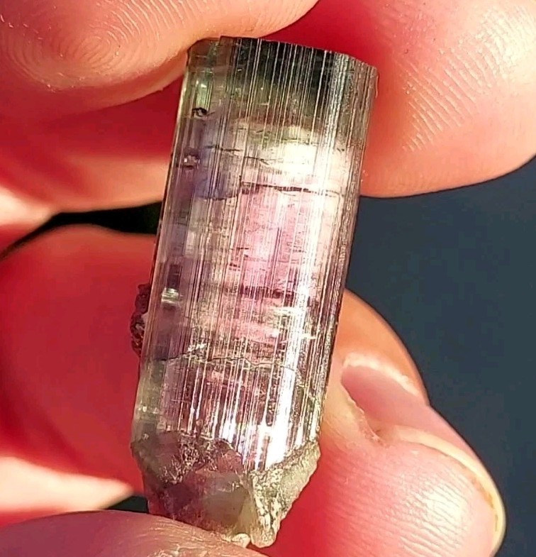 ULTRA RARE BURKHARD’S POCKET TOURMALINE NO REPAIRS PEDERNEIRA MINE BRAZIL