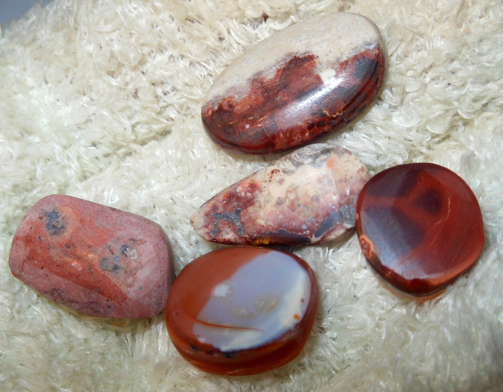 5 pieces of Mexican Fire Opal Lapidary Rough 46.65tcw Freeform