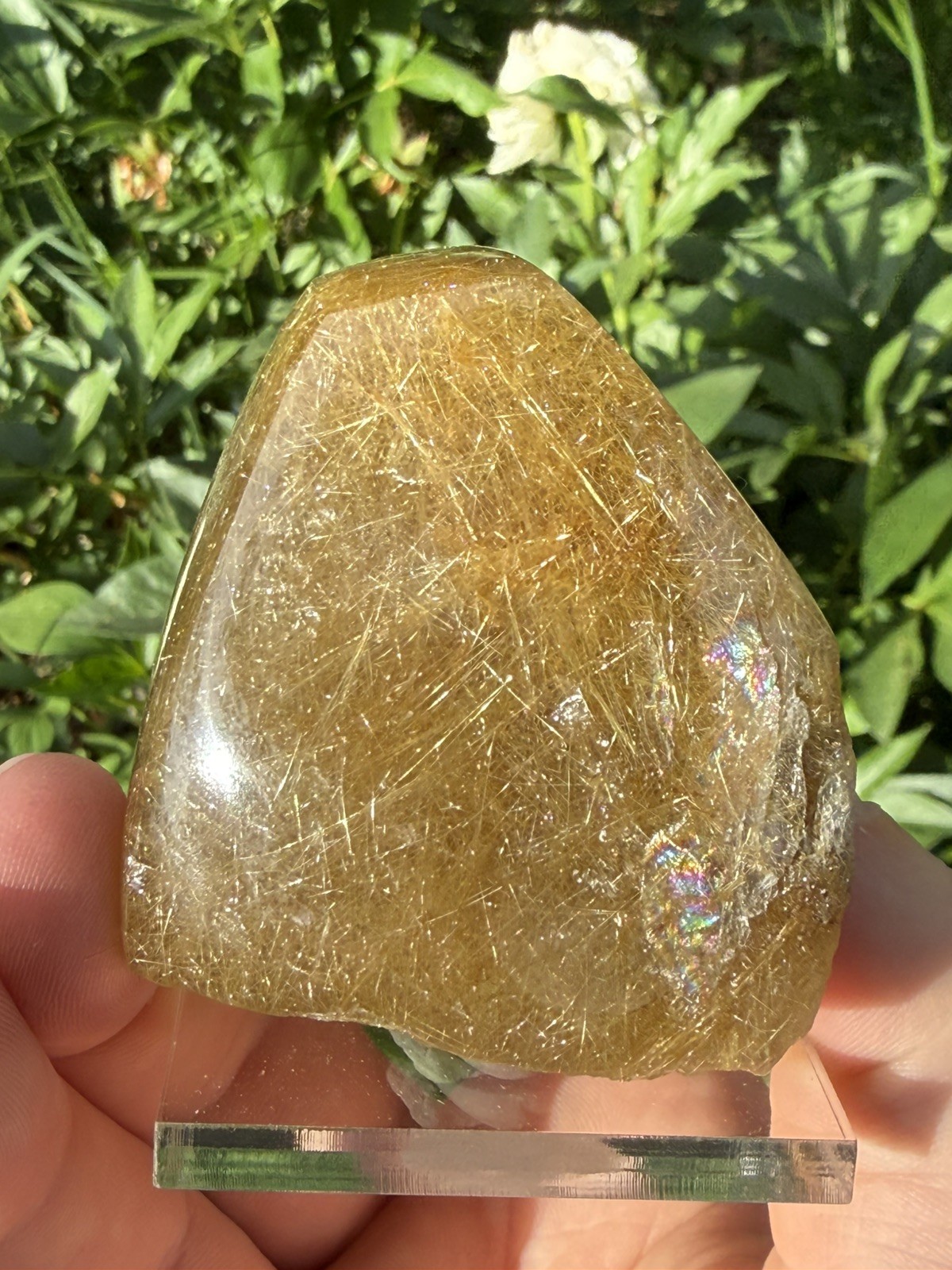 Golden Rutilated Included Quartz Freeform Polished Brazilian 6cm- 283g- ID68