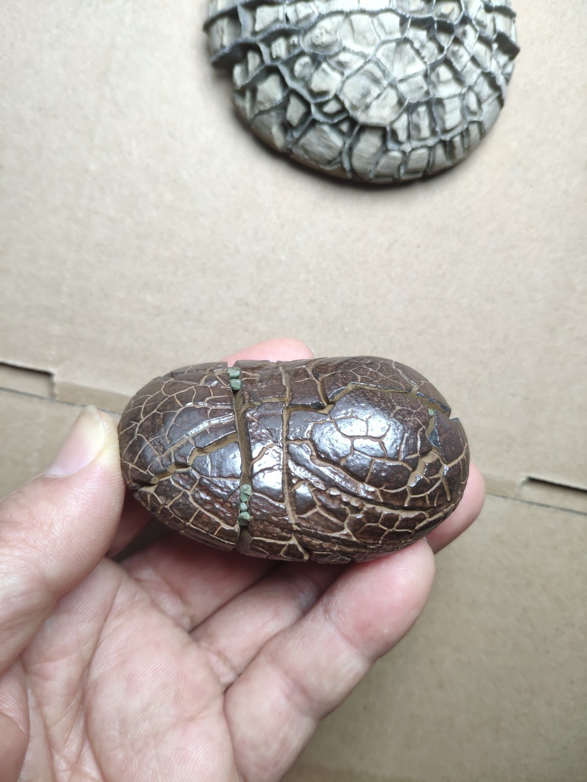 182g beautiful tortoise back pattern stone Turtle grain stone Landscape stone