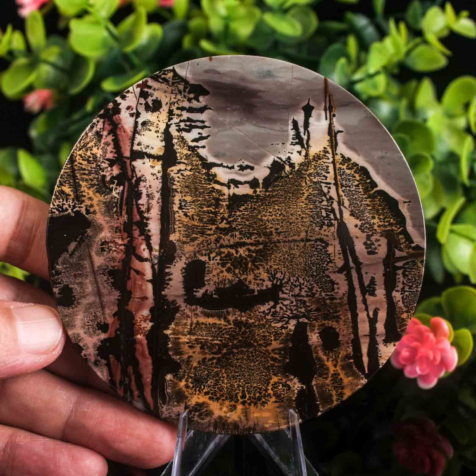 Picture Jasper Slab Natural Stone Display Crystal Specimen w/Stand 3.7″ 4.4oz