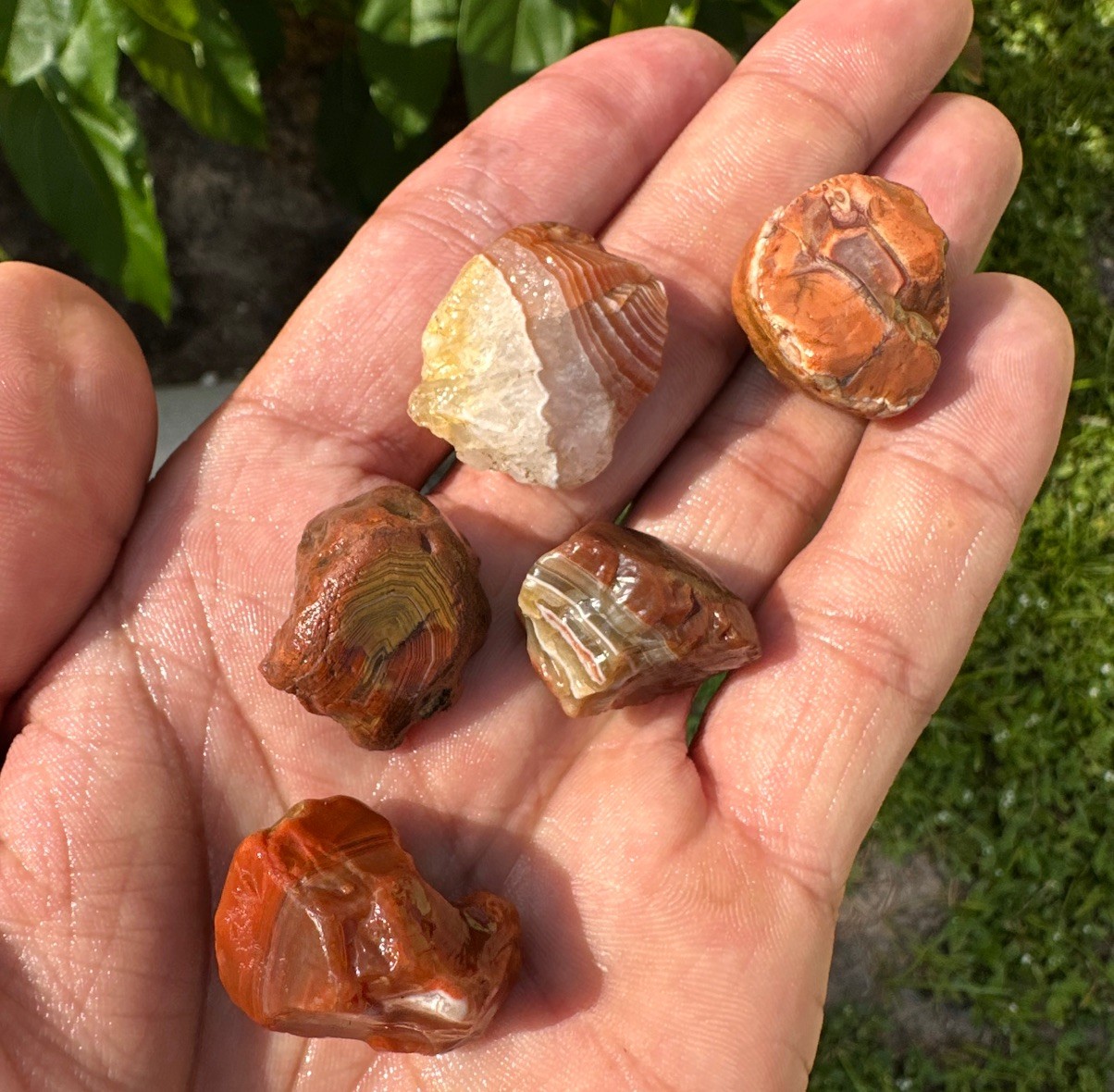 1.75 oz Lake Superior Agate Lapidary Lot 5 Multicolor Beauty’s