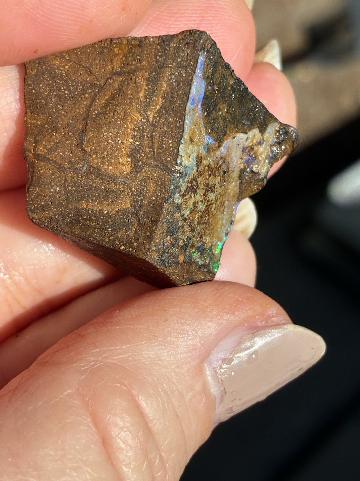 71ct Australian Boulder Opal Rough Loose Multicolor Specimen S