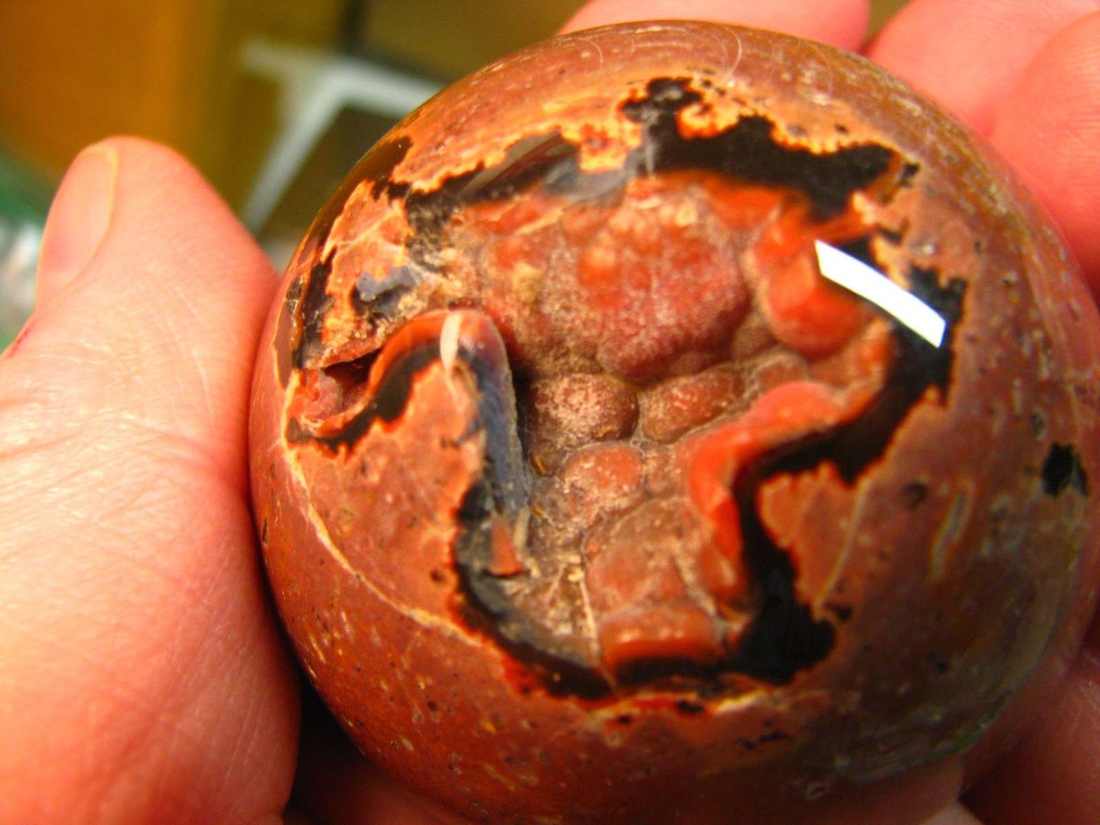 .43lb 2.15inch JASPER SPHERE RED & BLACK CHALCEDONY W/WOOD STAND MADAGASCAR #247