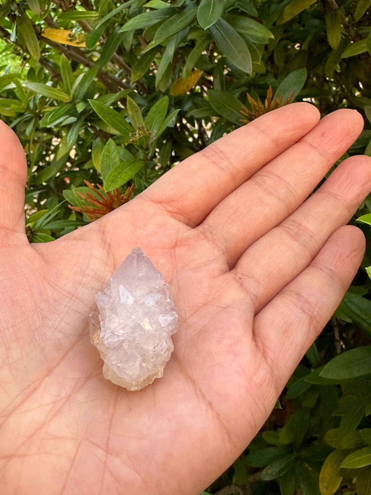 Spirit Quartz Clusters Crystal Collection Box: 6 – 7 oz Box Lot, 11 – 14 Pieces