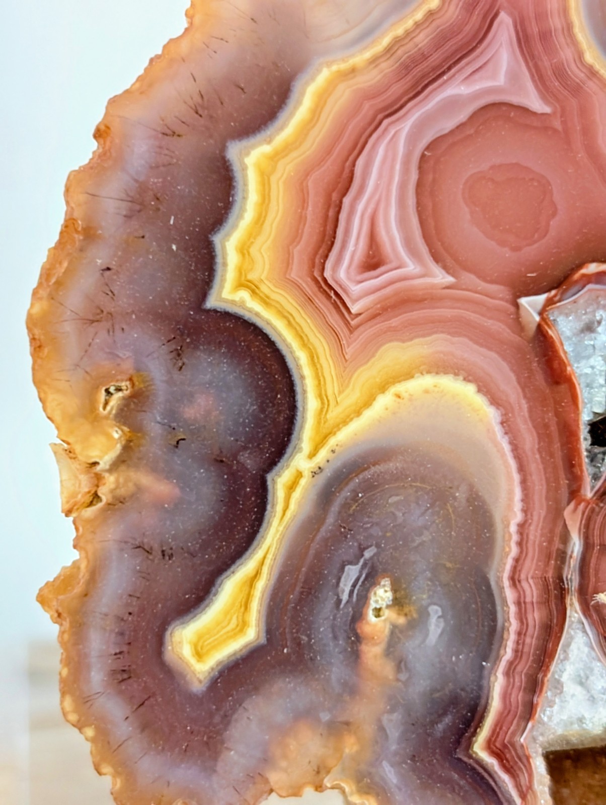 Laguna Agate Banded Red Yellow Mexico