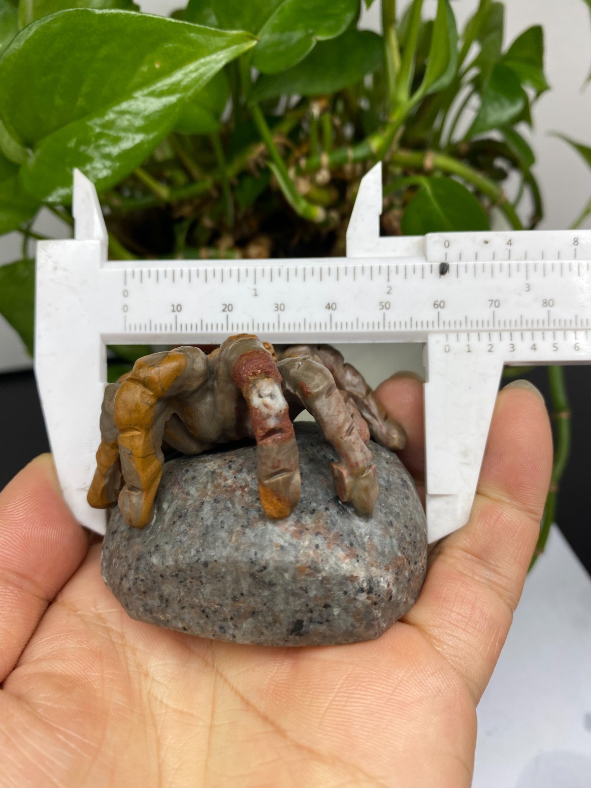 1pc Natural Moneystone Quartz Carved spider skull Crystal reiki healing Decor