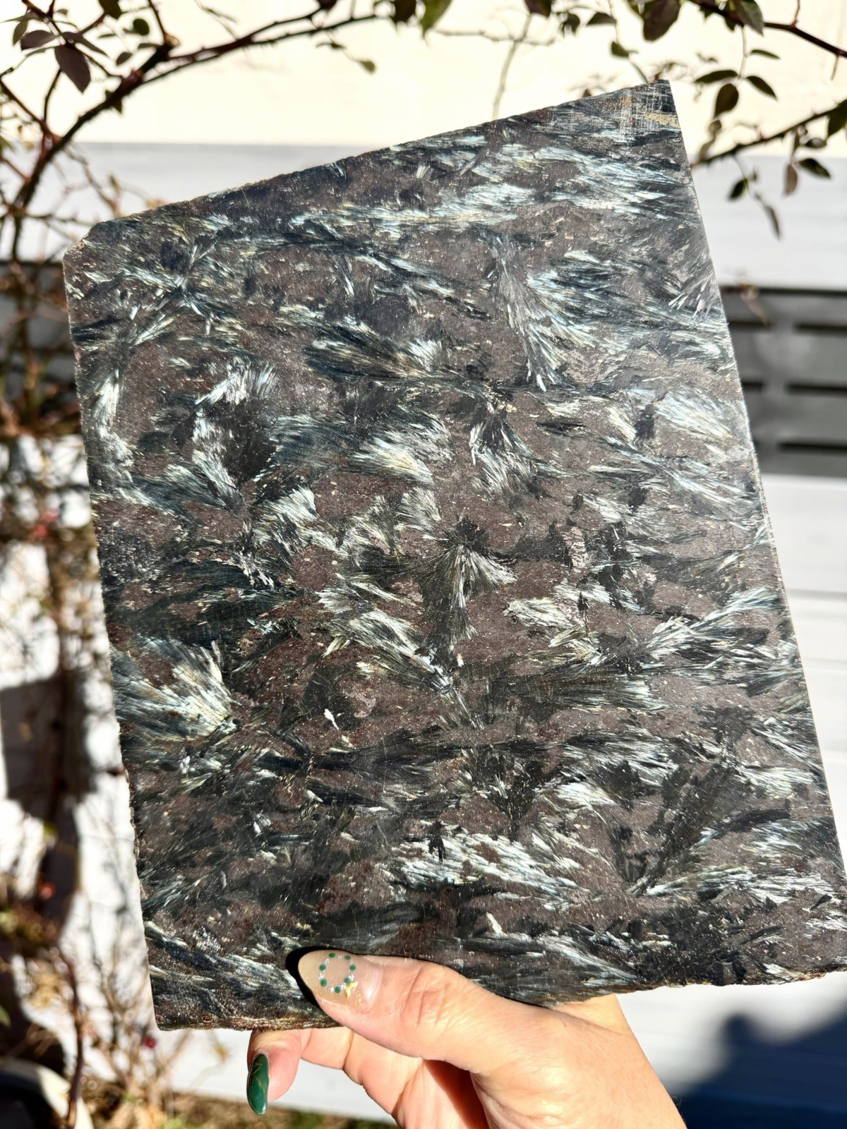 Wholesale Lot 6 Lbs Natural Astrophyllite/ Arfvedsonite Polished Slab Crystal