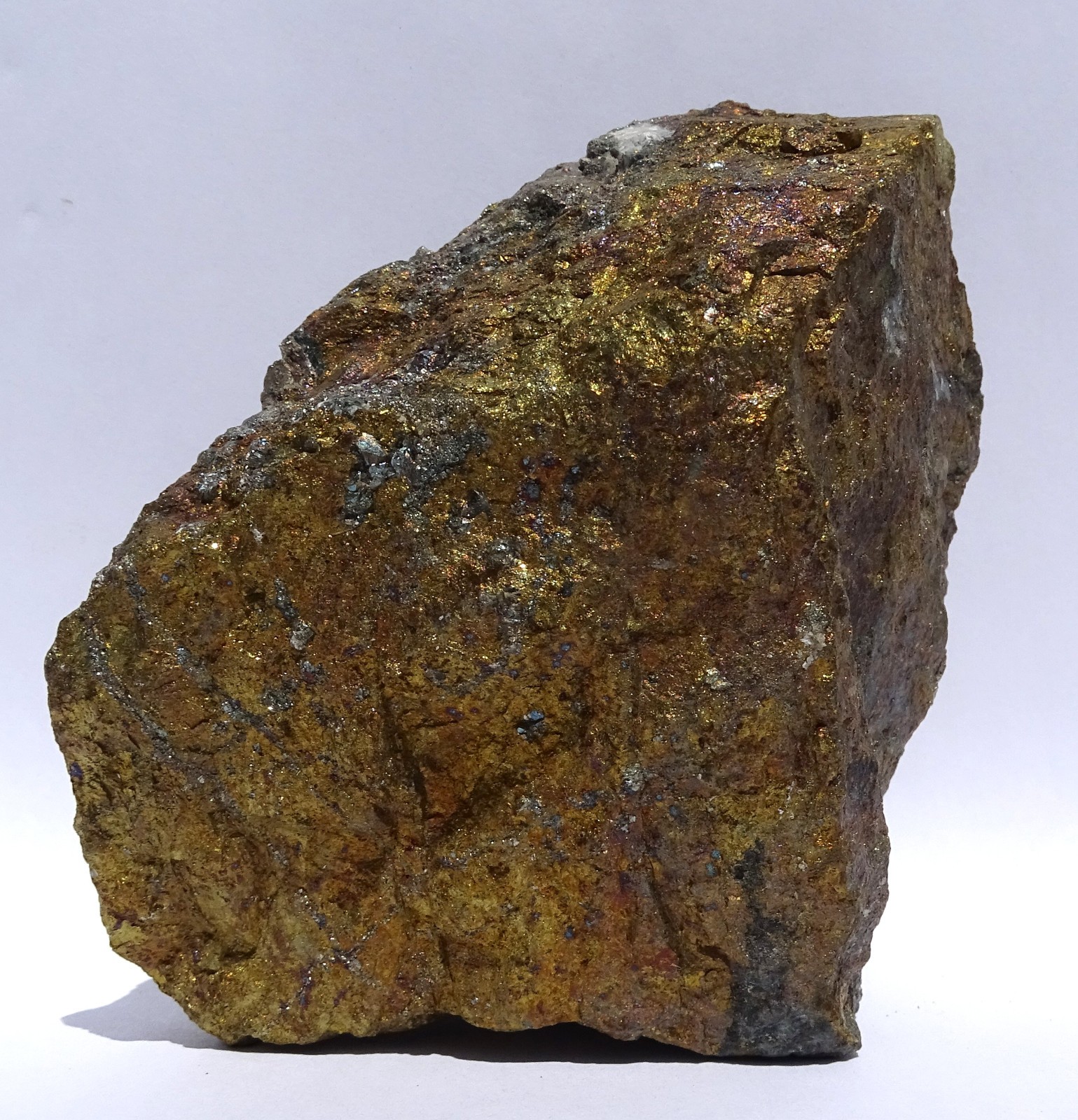 Lg CHALCOPYRITE w MAGNETITE–Chino mine, Santa Rita, New Mexico–Museum Benefit!