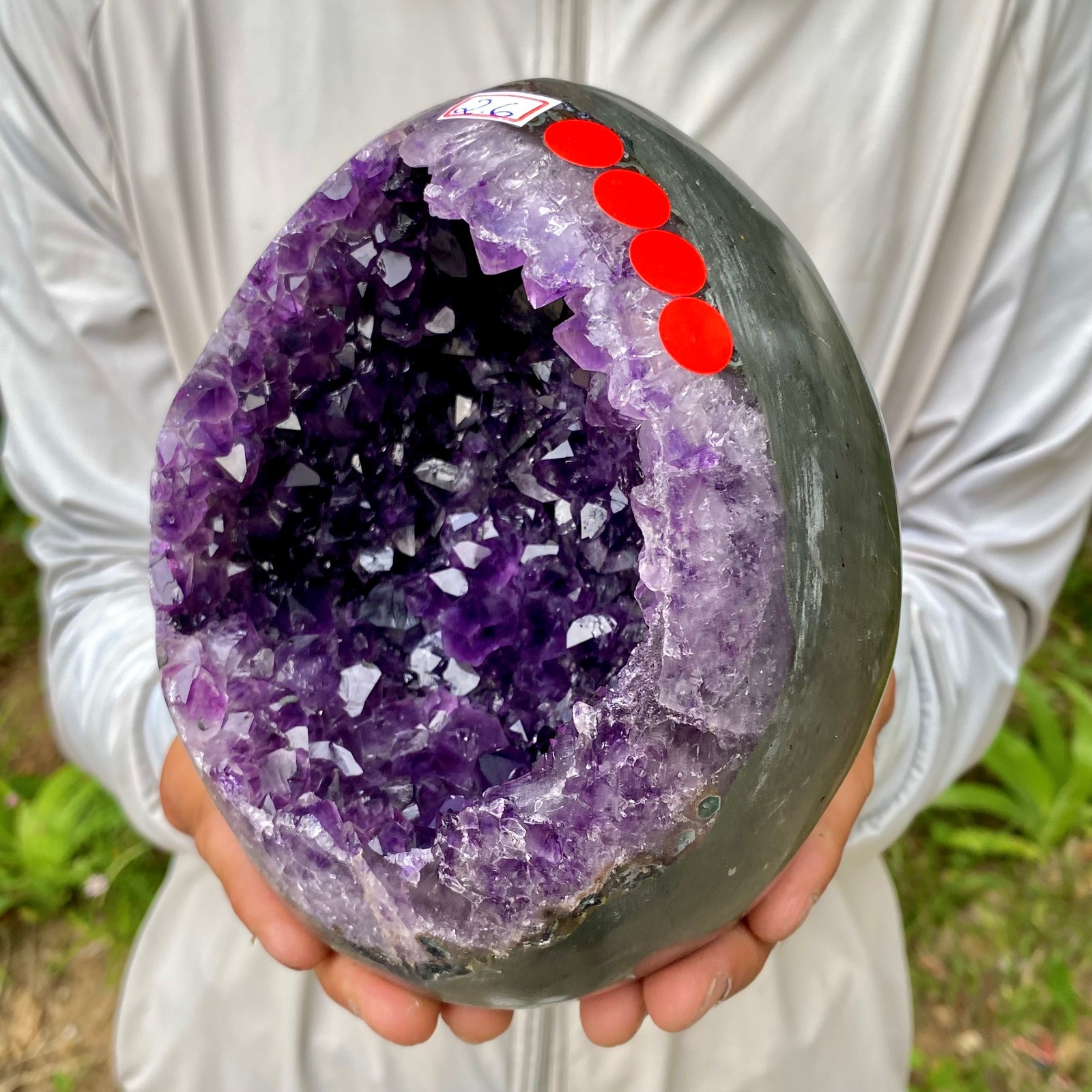 5.7LB Natural amethyst Dinosaur egg Quartz Crystal specimen healing