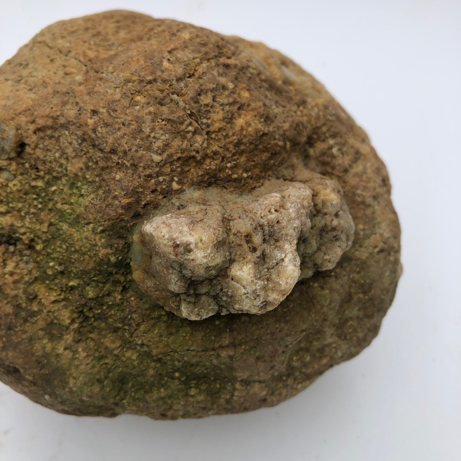 4 lb Unopened Kentucky Geode Rattler Break Your Own Hand Picked Natural Quartz