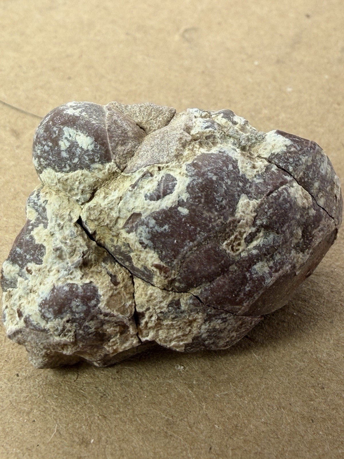 Hyalite Opal in Matrix from Ojuela Mine, Mapimi, Durango, Mexico 21.4 g