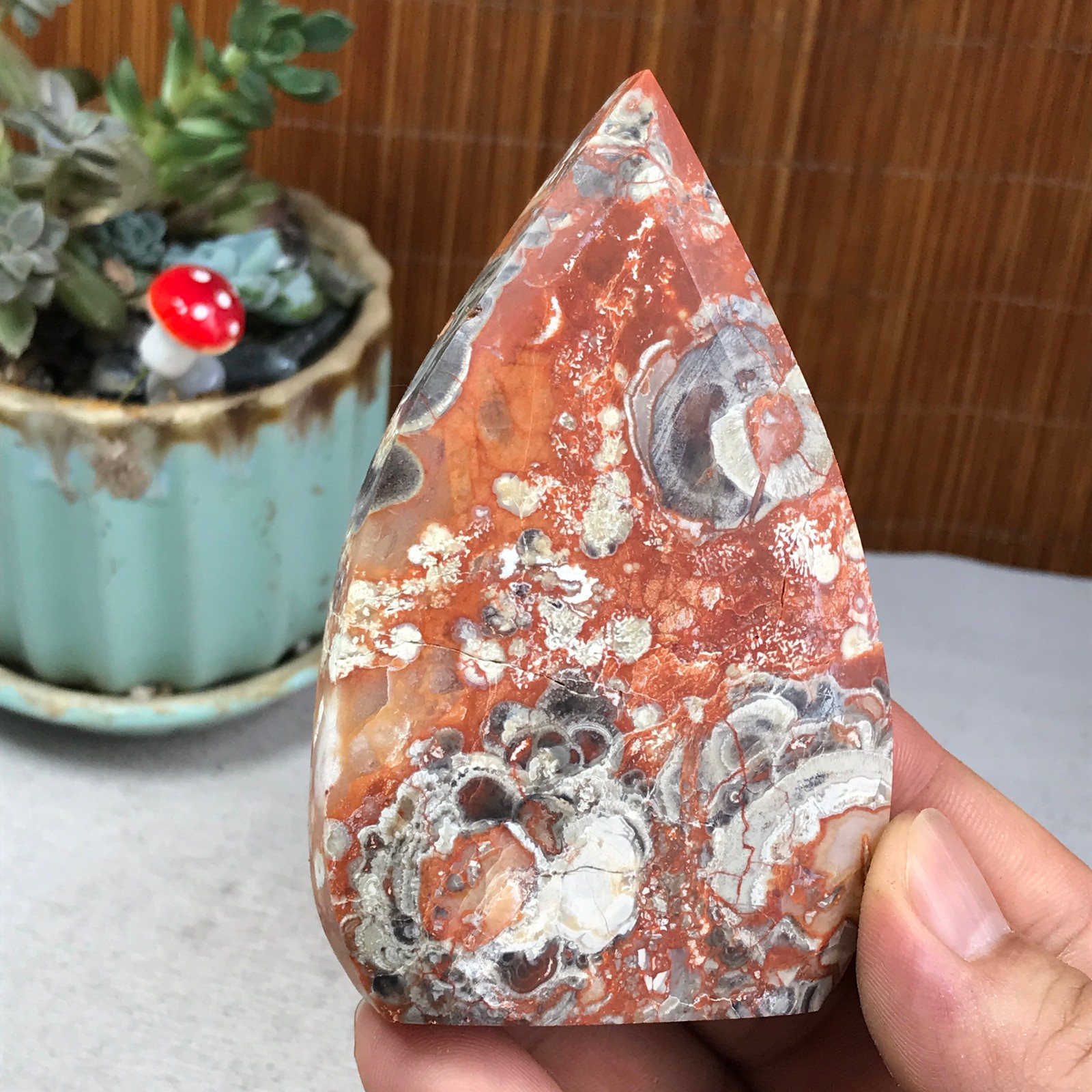 Natural money Mexico agate hand carve leaf Crystal Specimen free standing A6256