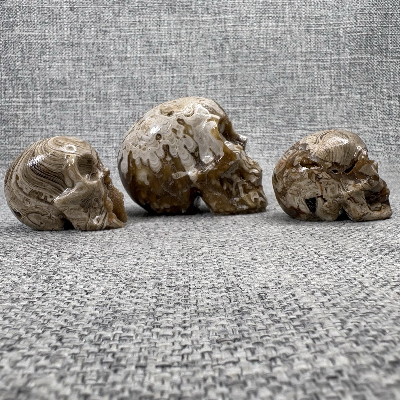 Amber Agate Crystal Skull Set 3pc Druzy Hand Carved Polished Stone Brown