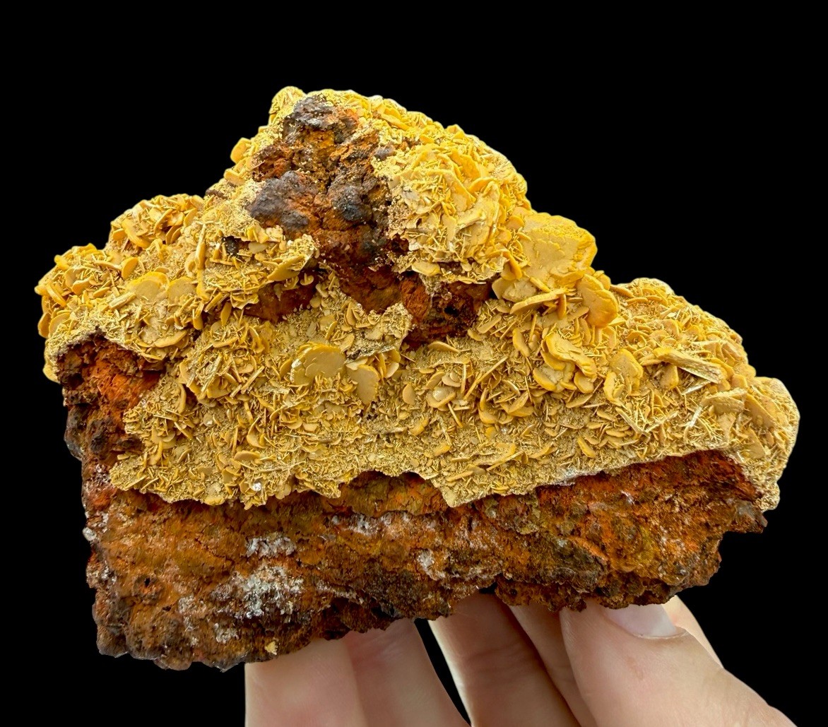 Wulfenite Crystals: Stefanie Mine . Bad Bleiberg . Carinthia , Austria 🇦🇹