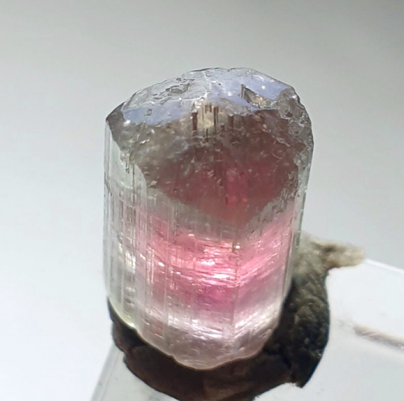 Saturated Bi Color Terminated Tourmaline Crystal From Afganistan 🇦🇫