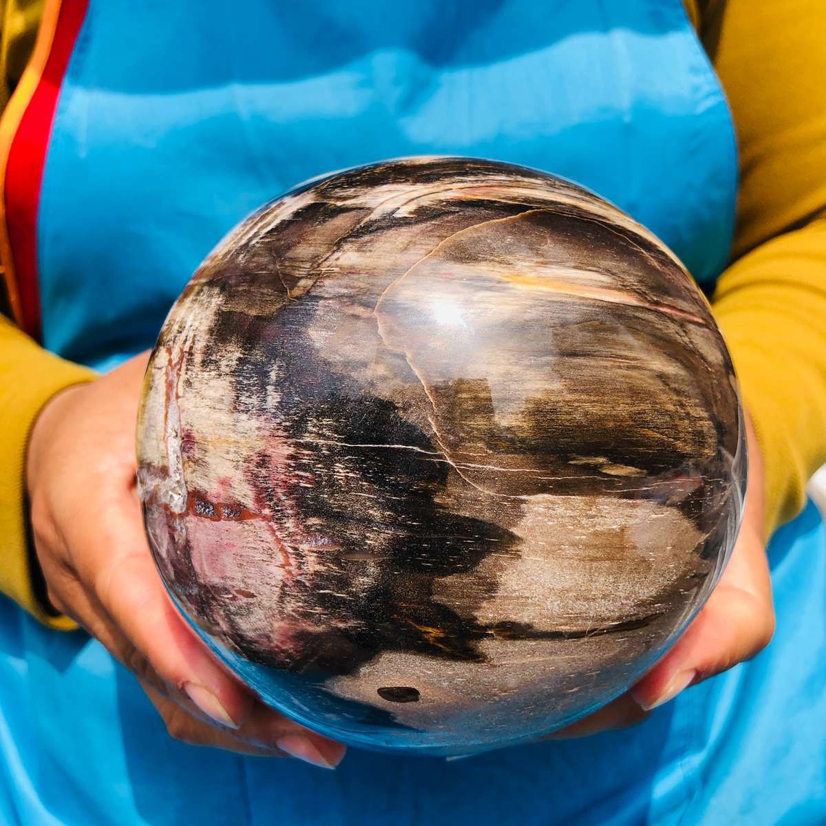 5.06LB Rare Natural Petrified Wood Ball Crystal Quartz Mineral Healing 4705