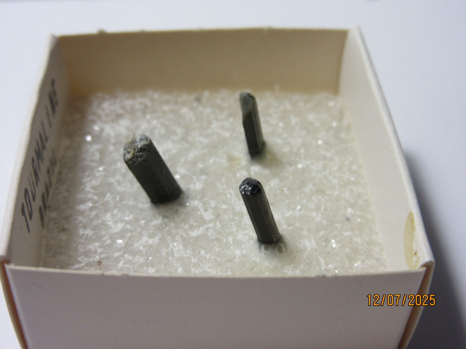 3 Green Tourmaline Crystals Brazil Thumbnail 1 5/8″ Display TGTCBTD-1s