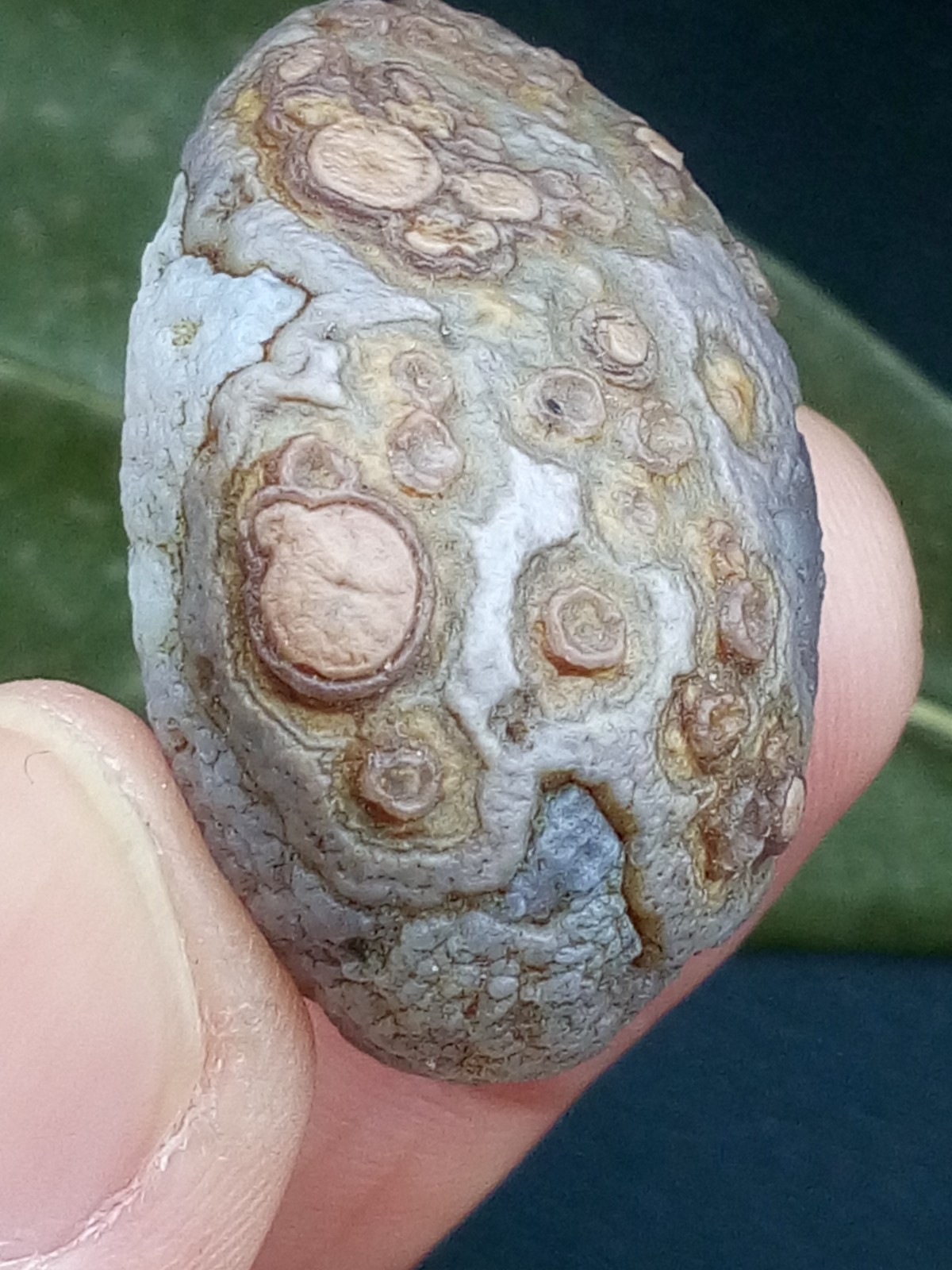 12g/36mm Natural GoBi Agate eye agate/stone cute collection