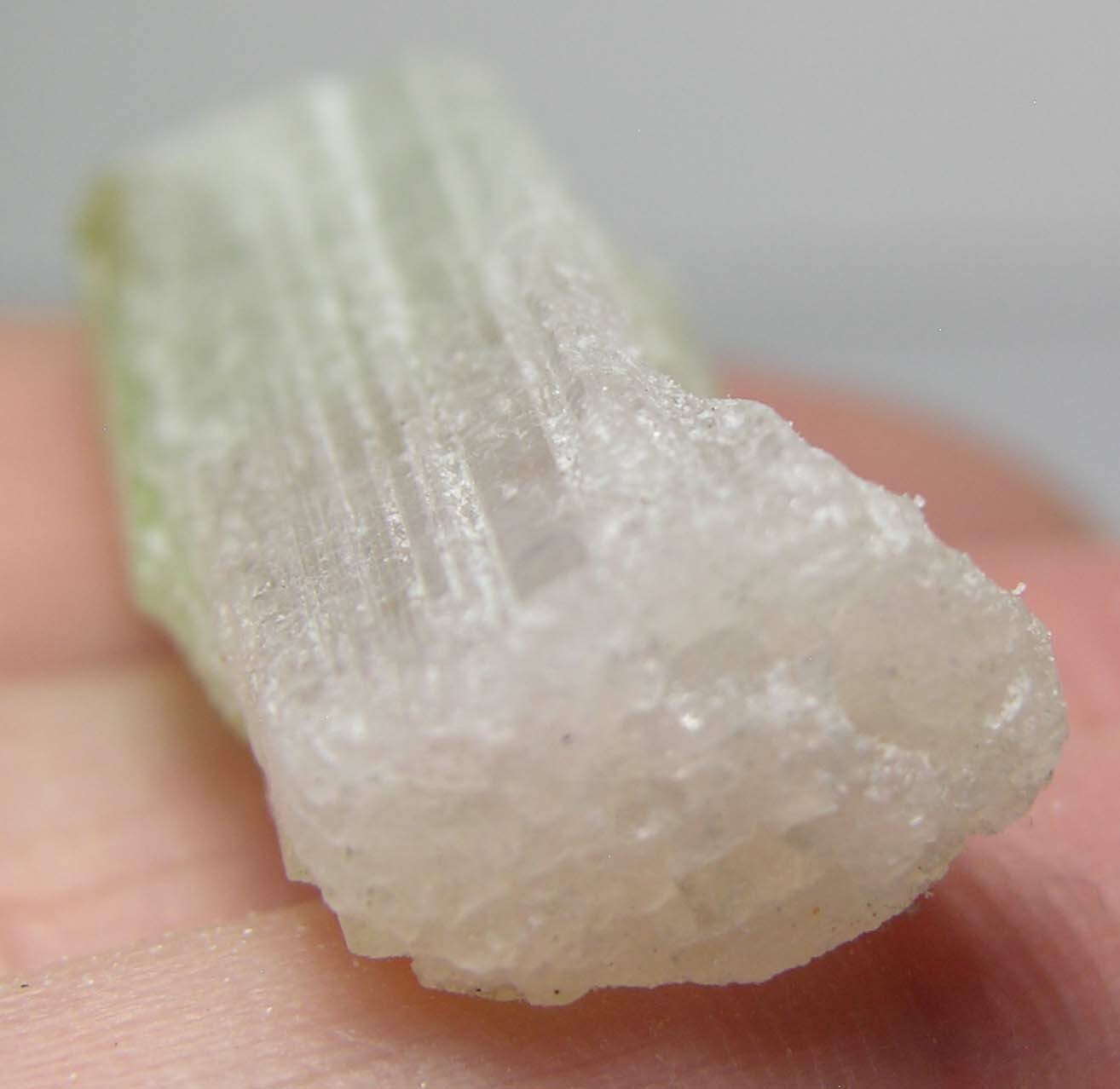 52.40ct Brazil 100% Natural Bi-Color Tourmaline Crystal Specimen 10.50g 37.00mm