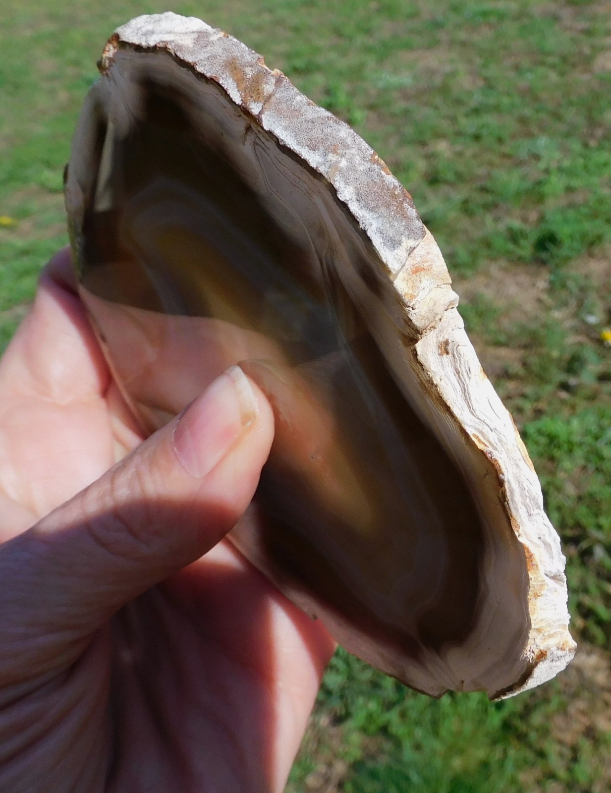 Mexican Agate Not Dyed Polished Natural Stone Specimen