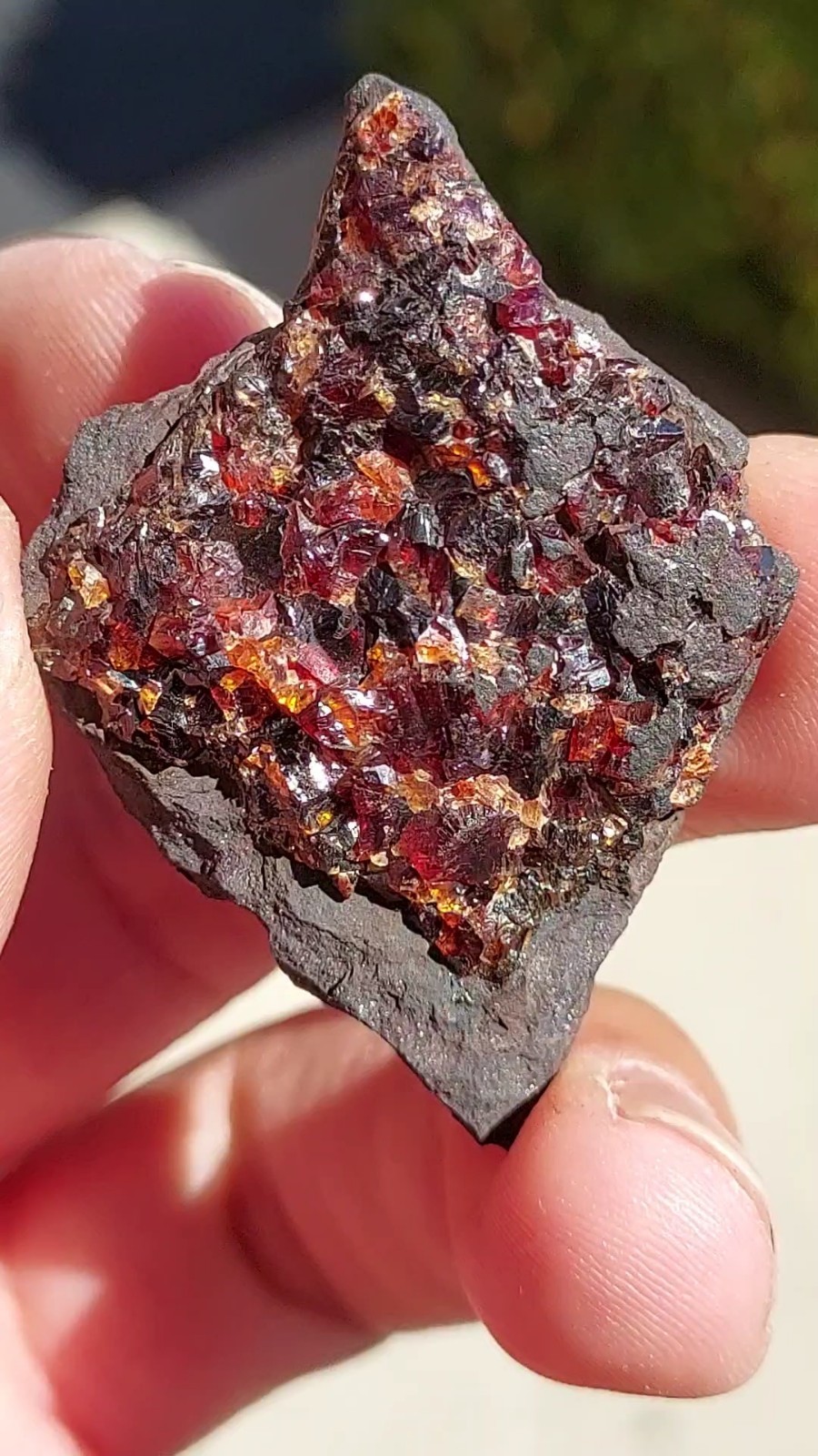 ULTRA RARE GEM RHODOCHROSITE ON MATRIX N’Chwaning I Mine, KMF, South Africa
