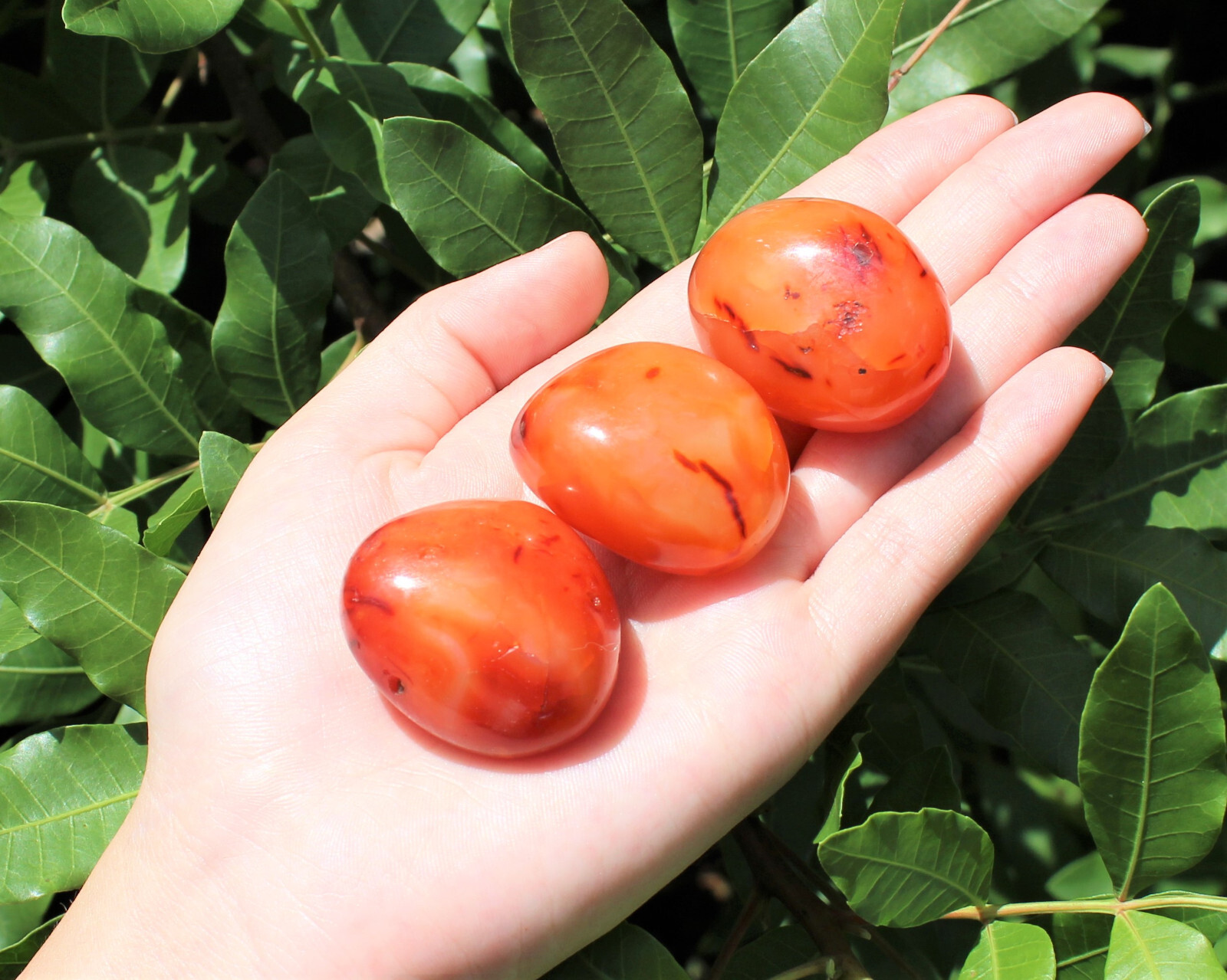 Carnelian Palm Stone: ‘AA’ Grade Hand Polished Pebbles (Wholesale Bulk Lot)