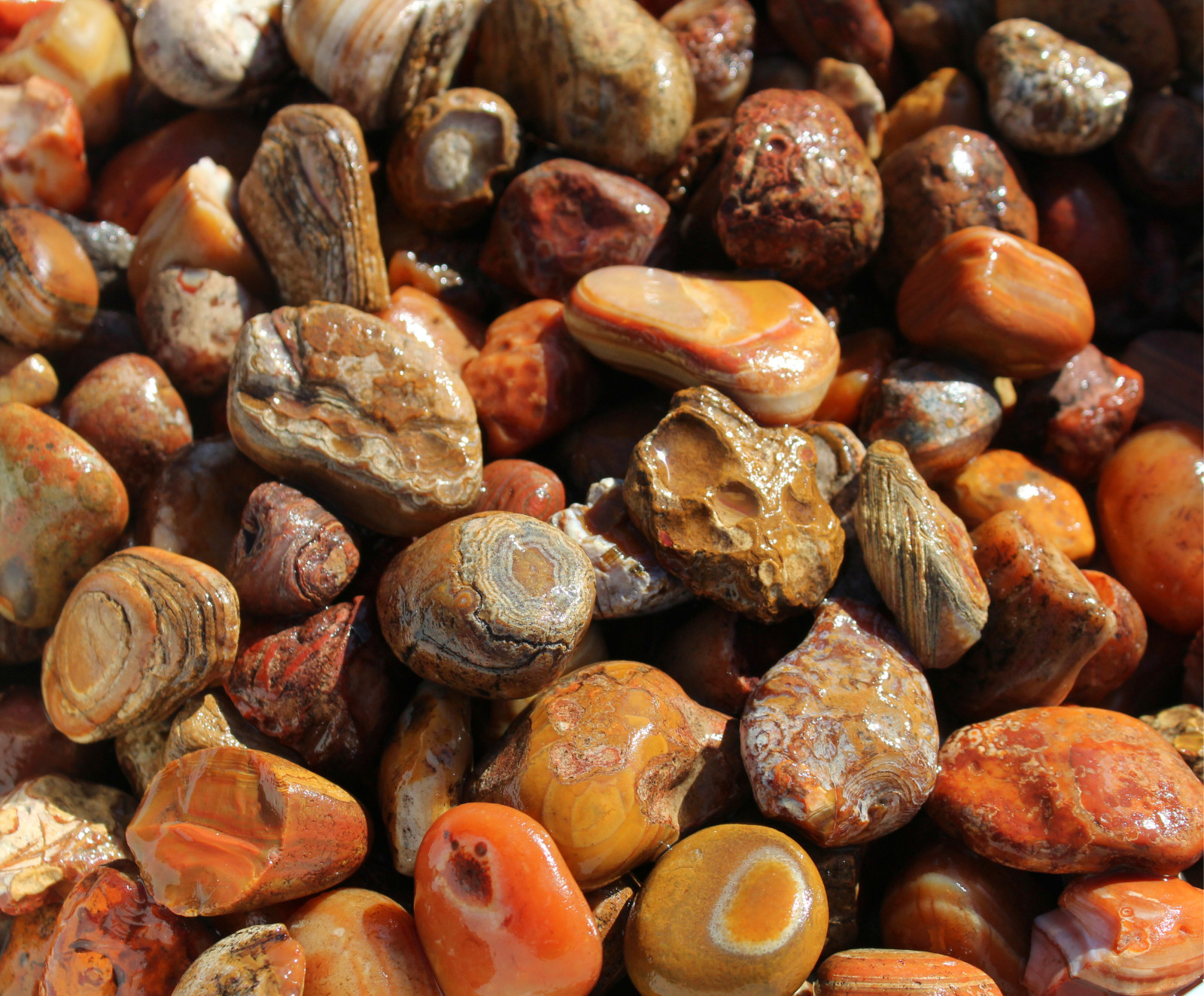 Bahia Agate – Small Rough Rocks for Tumbling – 0.5″ – 1.25″ – 1LB Bulk Wholesale