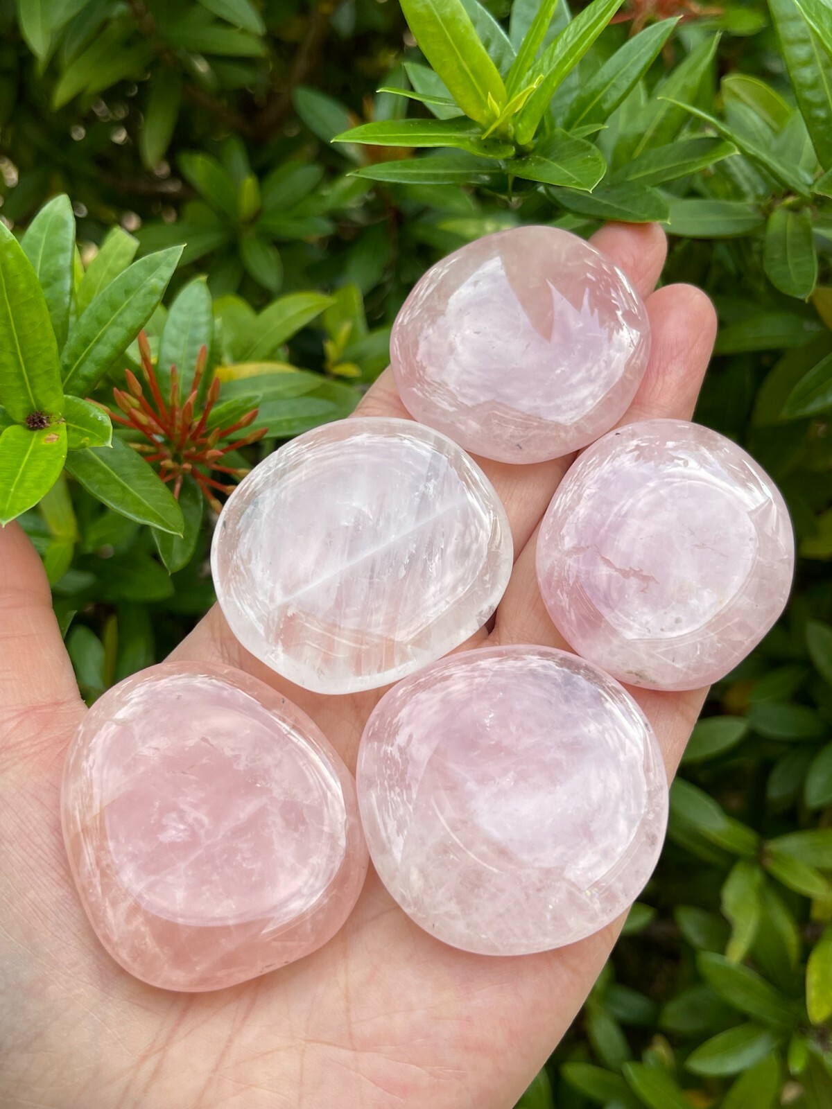 Rose Quartz Smooth Stone,1.5″-2″ Polished Rose Quartz Palm Stone, Wholesale Lot