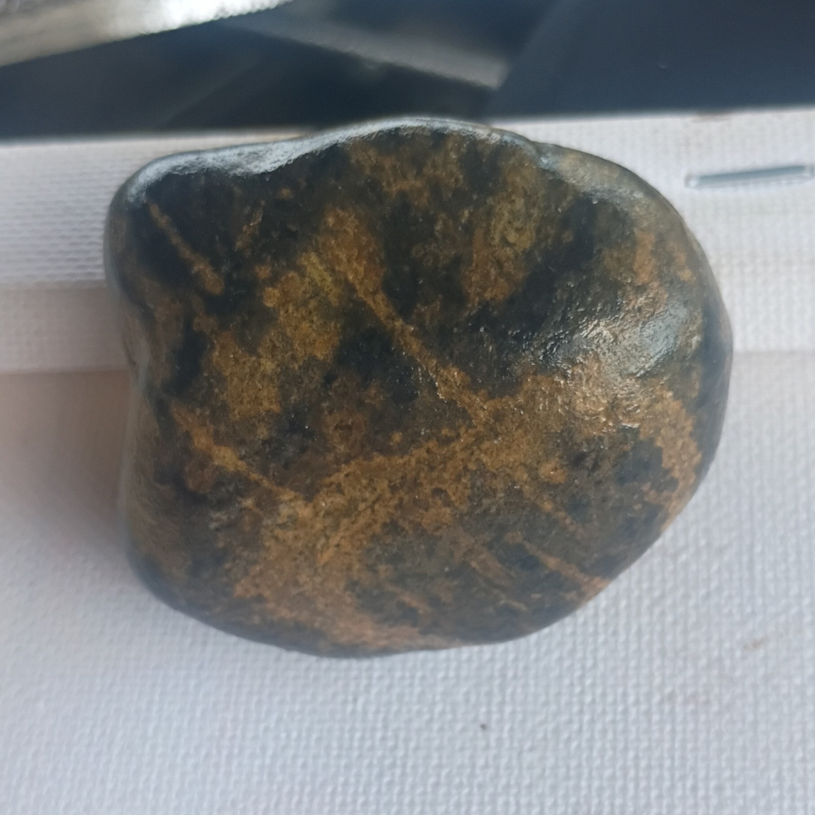 Polished Dark Brown Black Stone Mineral Specimen With Brown Veining Display