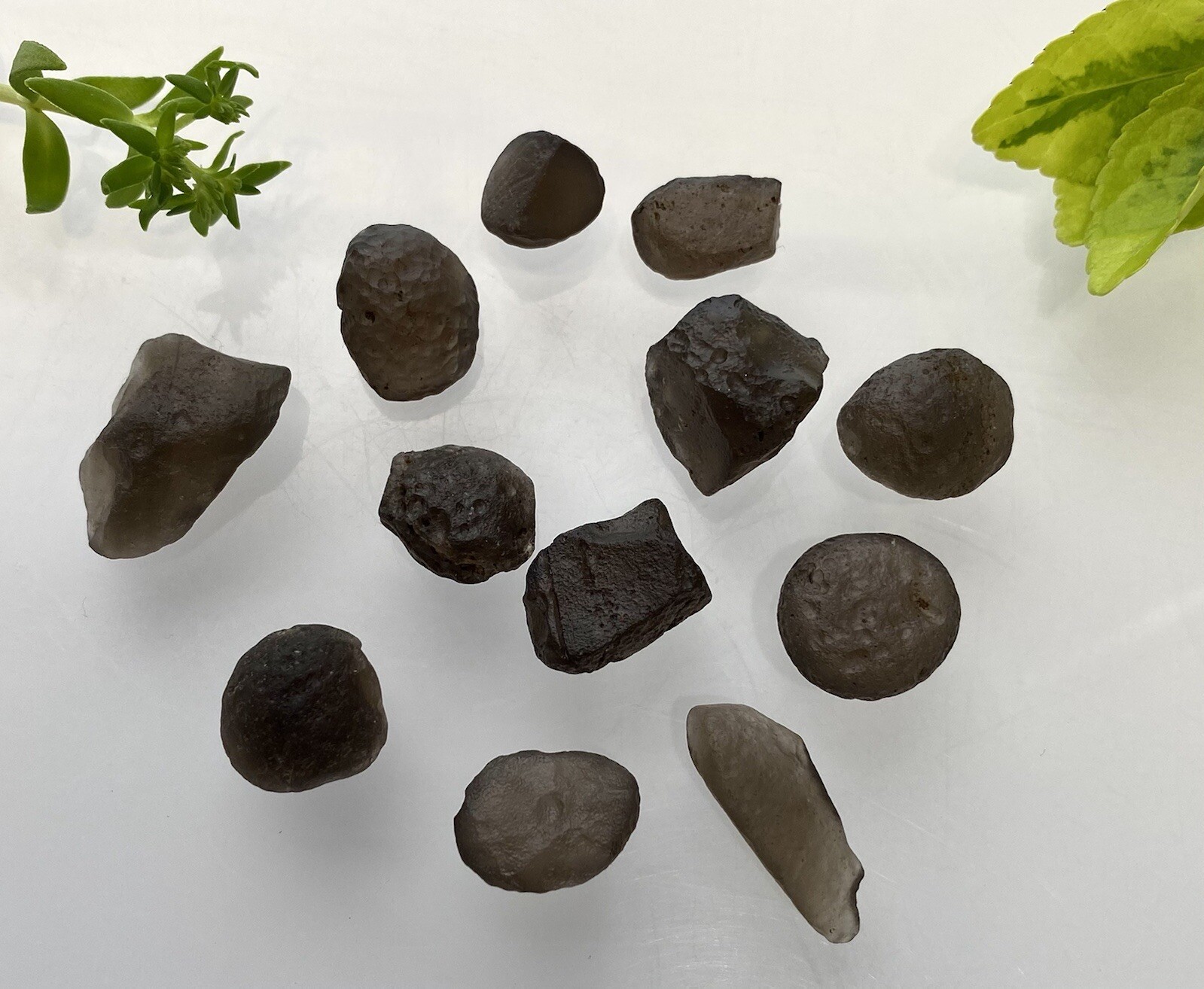 Wholesale Lot Natural Colombianite Colombian Tektite 40 Gram 16 To 24 PCs