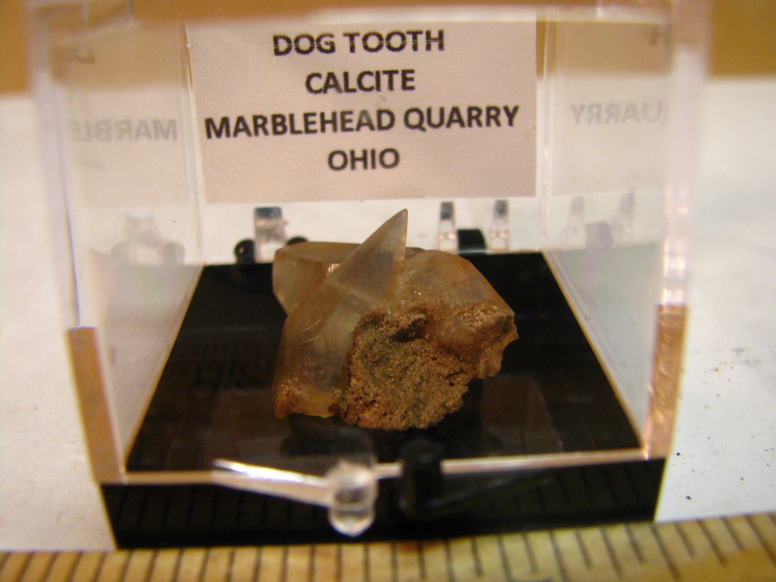 GOLDEN DOGTOOTH CALCITE CRYSTALS THUMBNAIL IN CASE MARBLEHEAD QUARRY OHIO #037