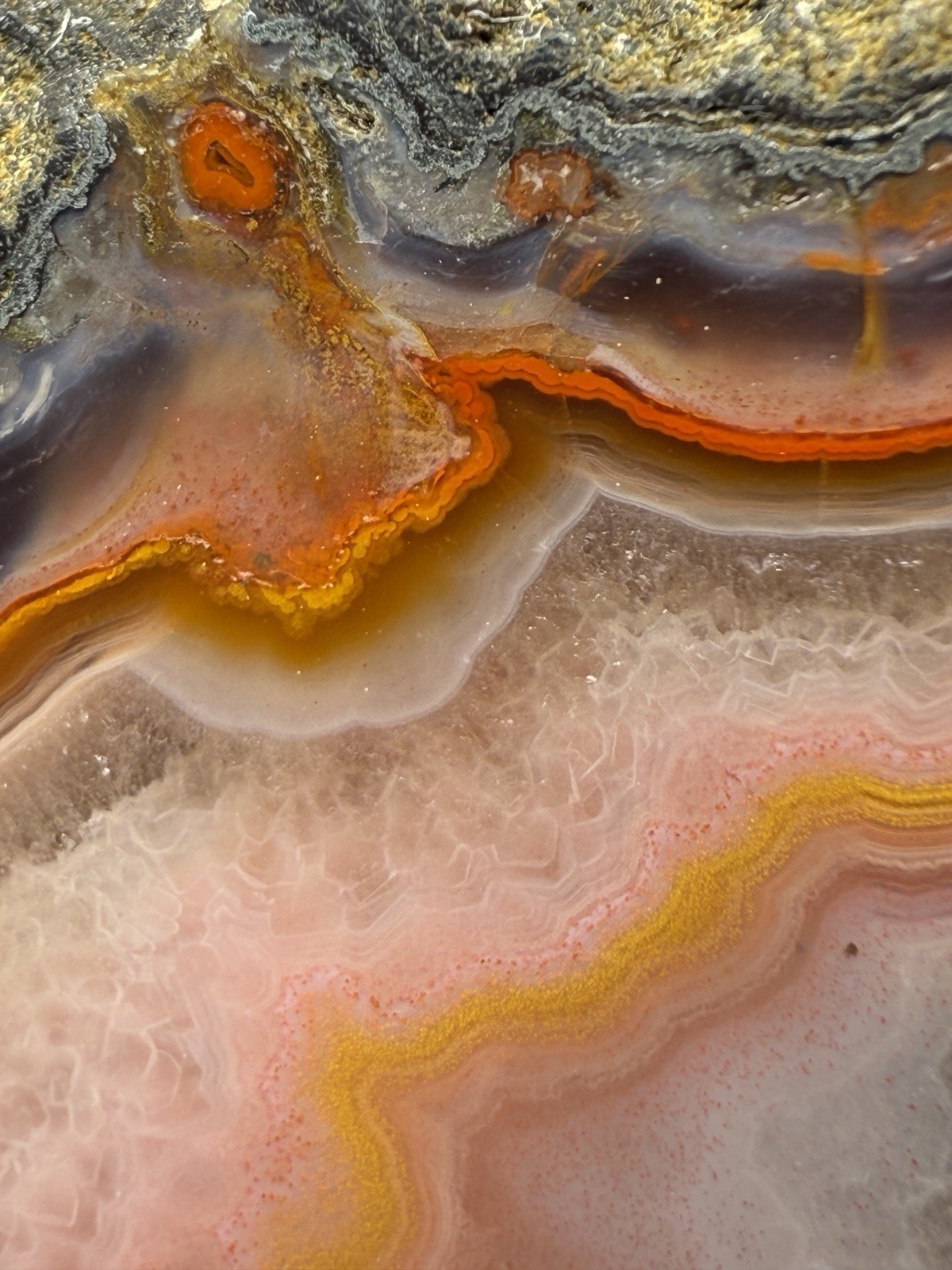 SEE VIDEO High-Grade Multicolor Moroccan Agate | High Atlas | Collector Specimen