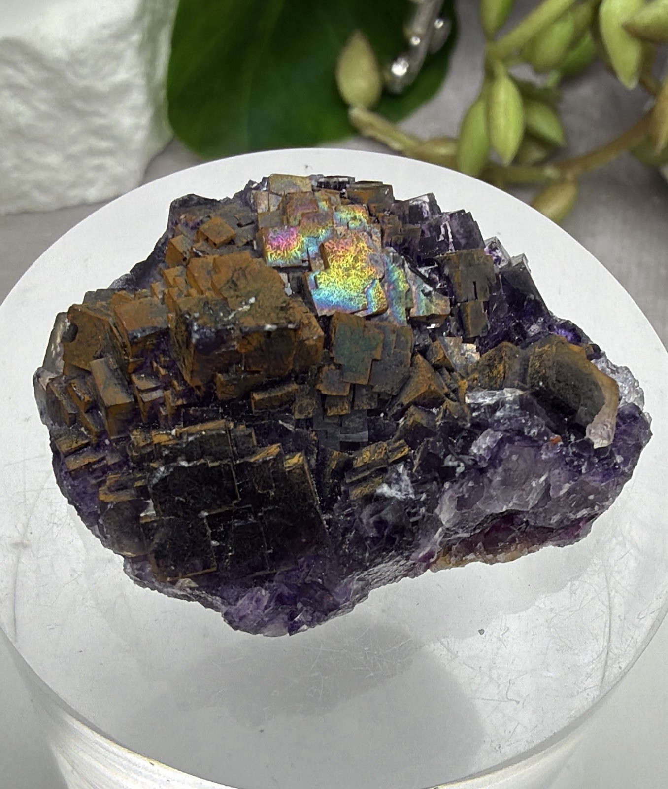 Crystal 25g Rainbow Covered Purple Fluorite UV Reactive Cluster Specimen Mineral