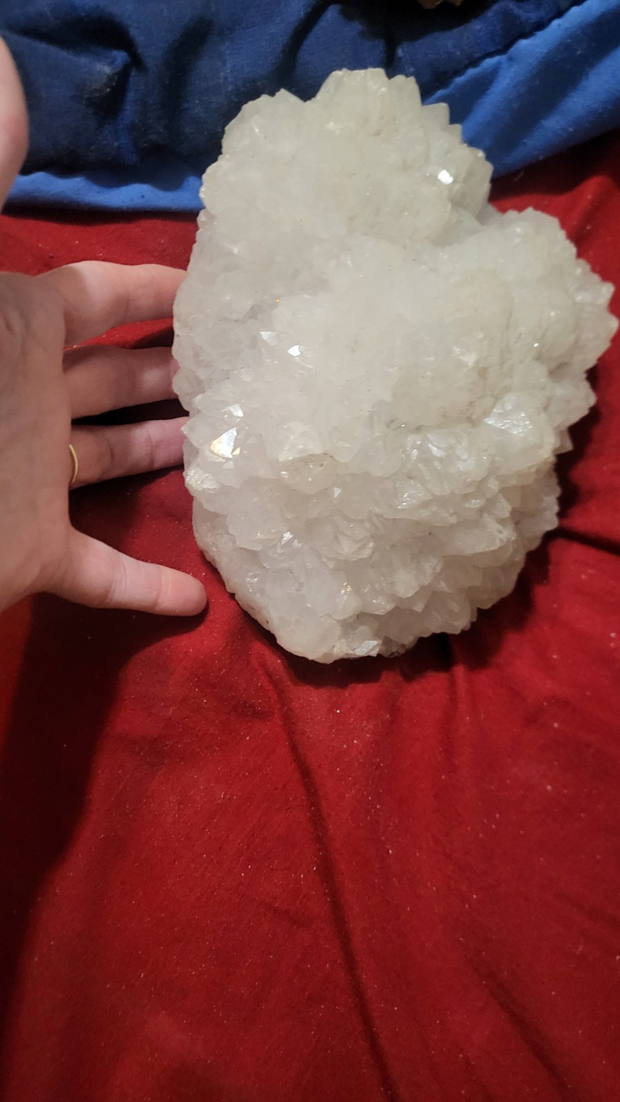 Highly Prized Rock and Mineral Collection