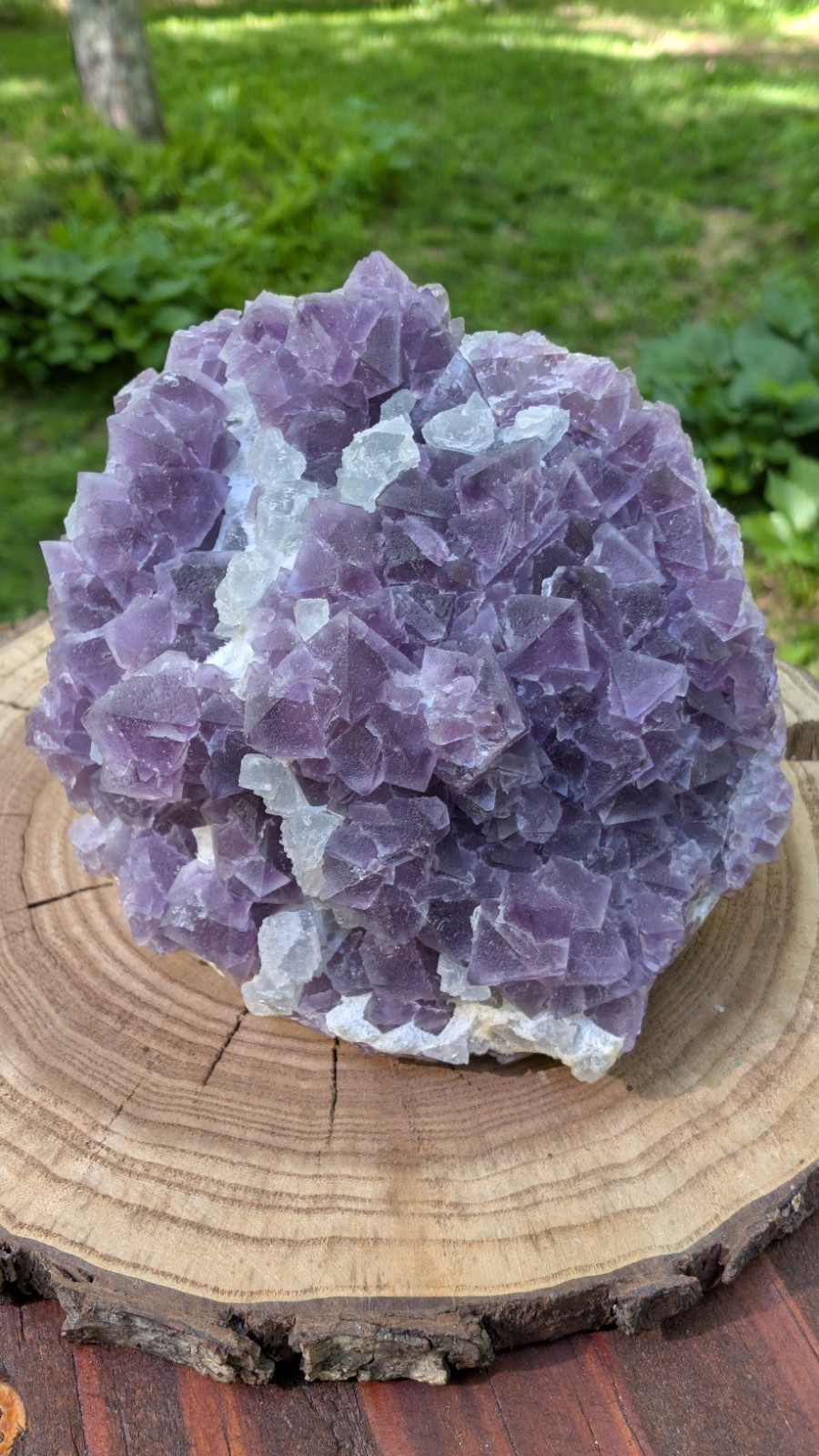 Purple Octahedral Fluorite W/ Light Blue Crystals From De’an Mine Jiangxi China