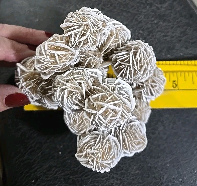 DESERT ROSE SELENITE Gypsum Cluster, A4