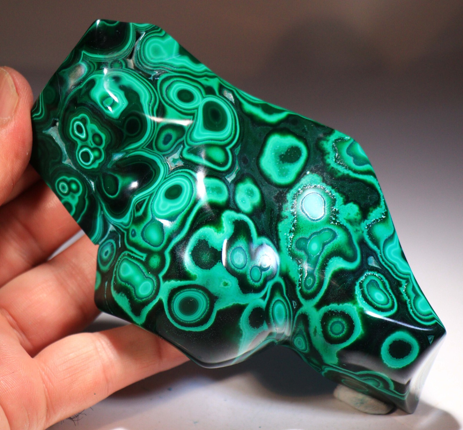 5.25″ Top Quality Vivid Green Malachite w/Blue Chrysocolla , Congo! CR115