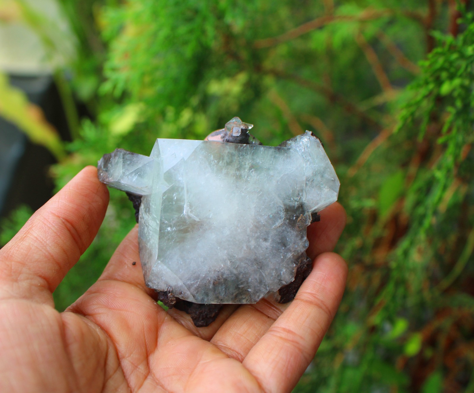 GREEN APOPHYLLITE CRYSTALS MINERALS SPECIMEN