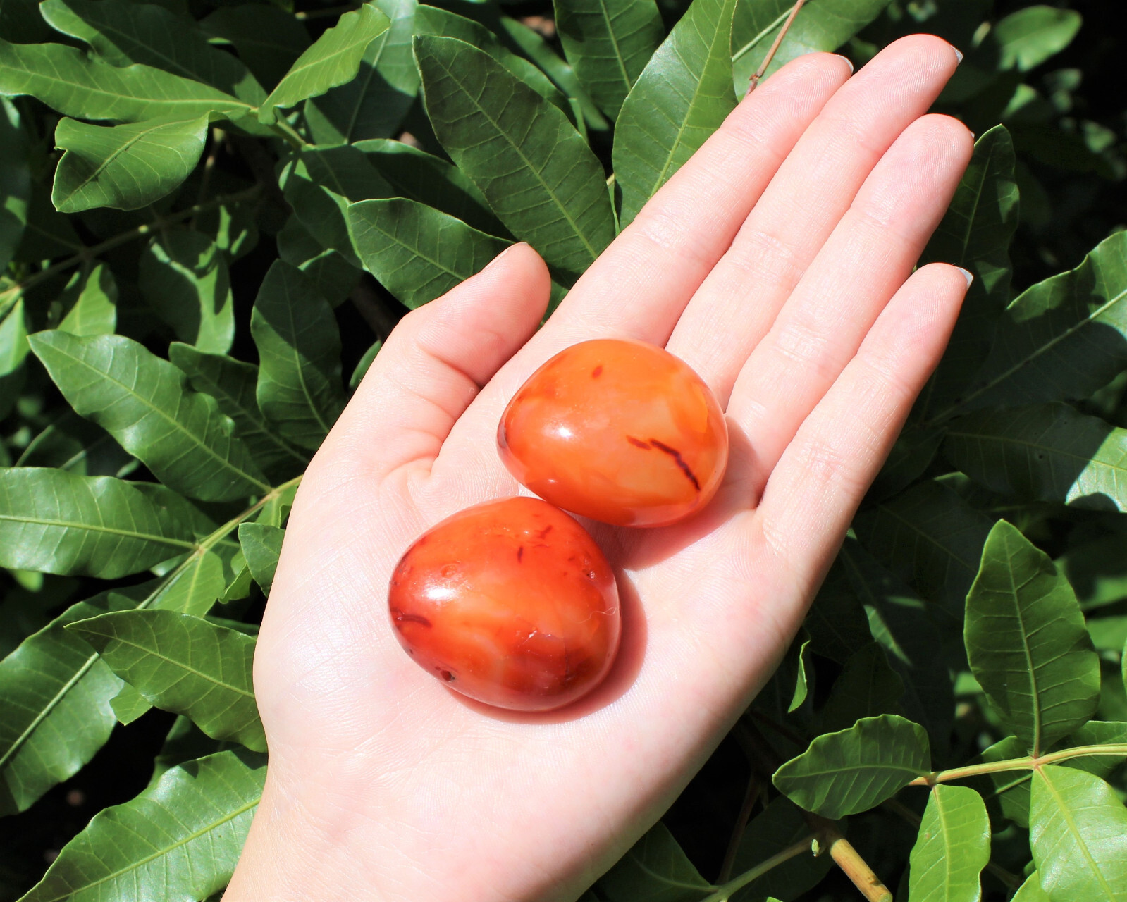 Carnelian Palm Stone: ‘AA’ Grade Hand Polished Pebbles (Wholesale Bulk Lot)
