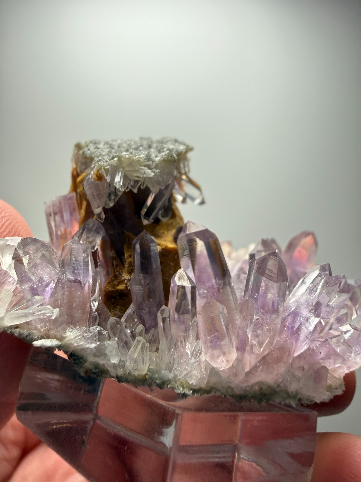 Stunning Amethyst cluster- unique formation! Las Vigas de Ramirez, Mexico
