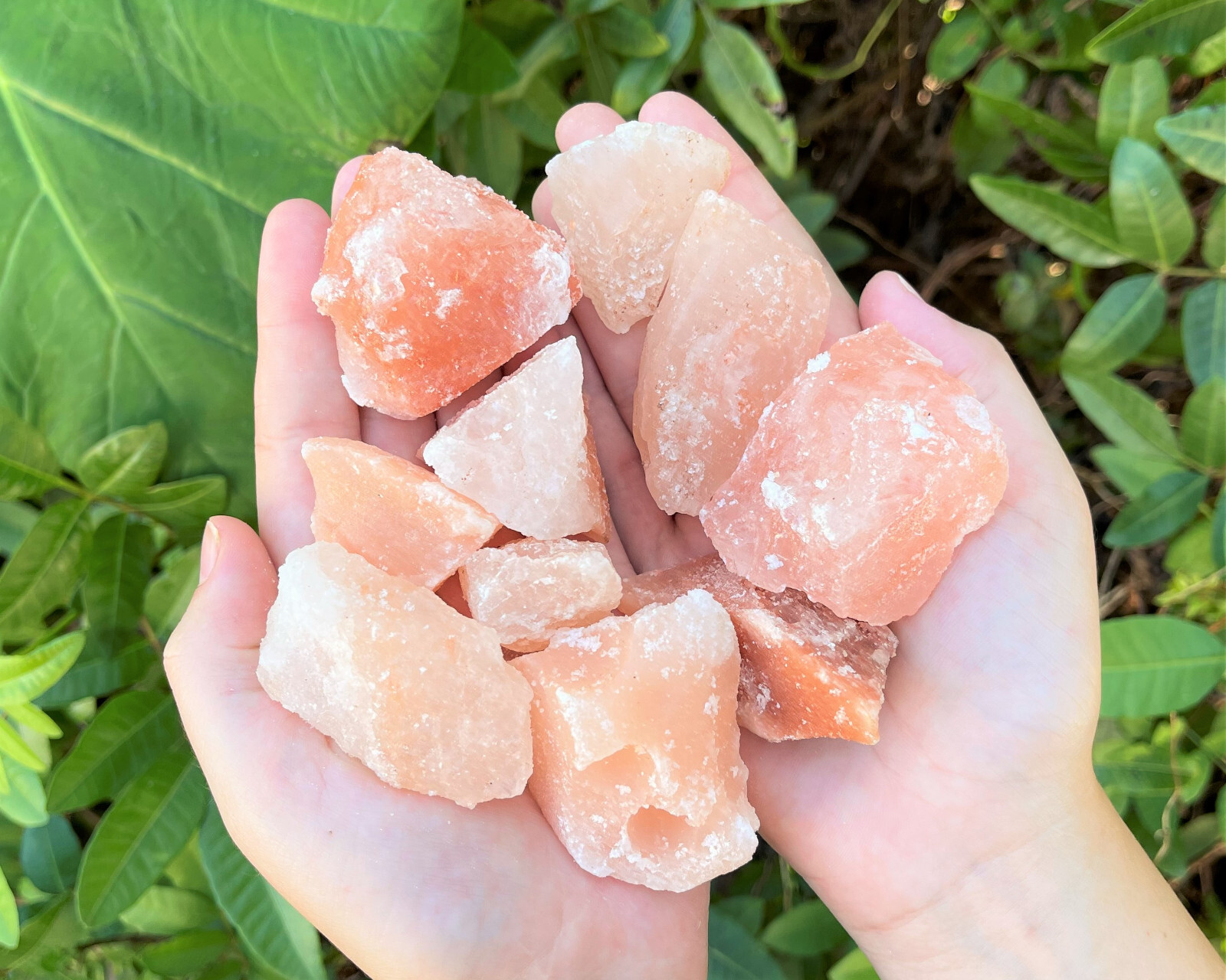 5 lb Himalayan Salt Chunks Crystals Rocks (Wholesale Bulk Lot)