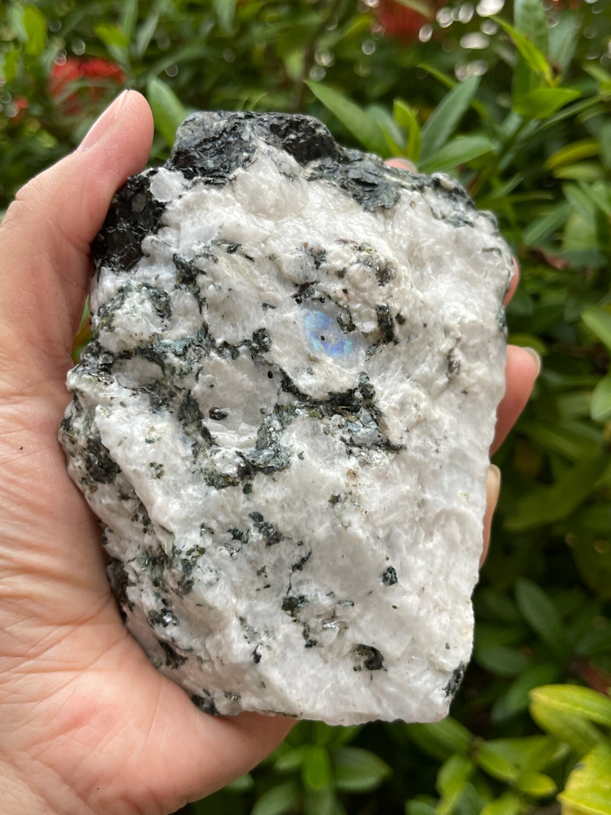 EX Large Rainbow Moonstone Raw Natural Stone,2.5-10 Inch Rough Rainbow Moonstone