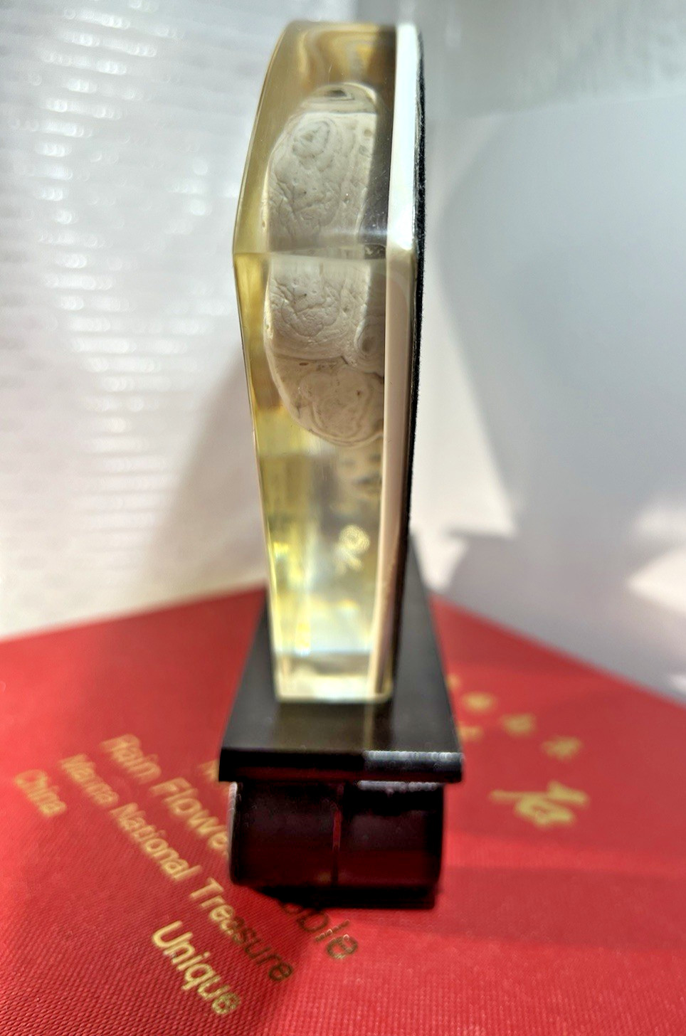 Nanjing China Rain Flower Pebble Display Lucite Block Manna Natn’l Treas.-Note