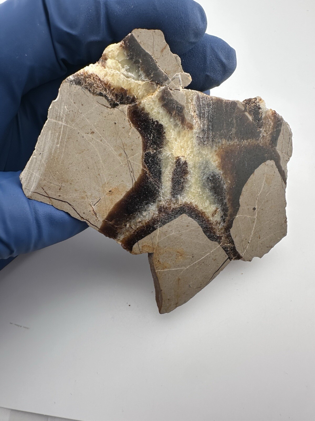 Polished Septarian End Piece Thick Slab 4″ X 3″ 8.3 oz Natural Art!
