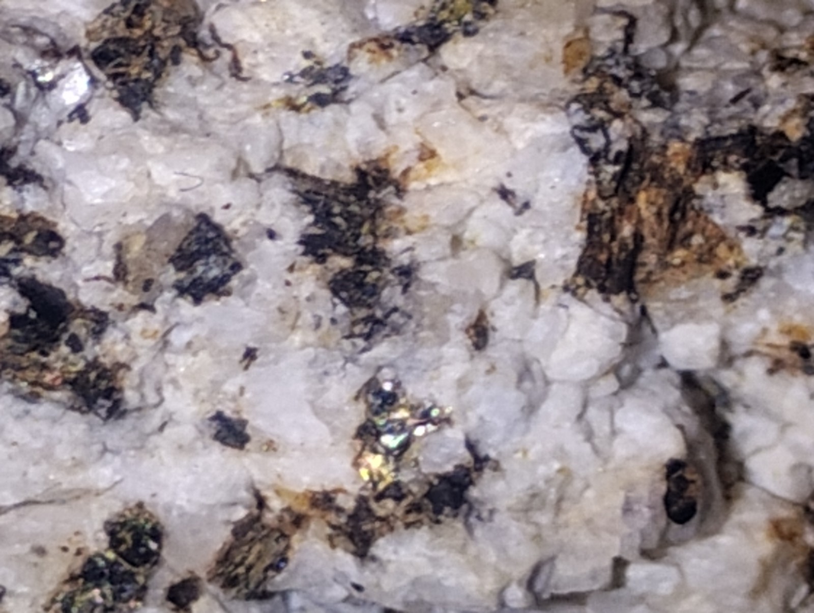 Polymetallic Ore Matrix Quartz, Pyrite & Silver/Black Sulfides – Blue Mountain?