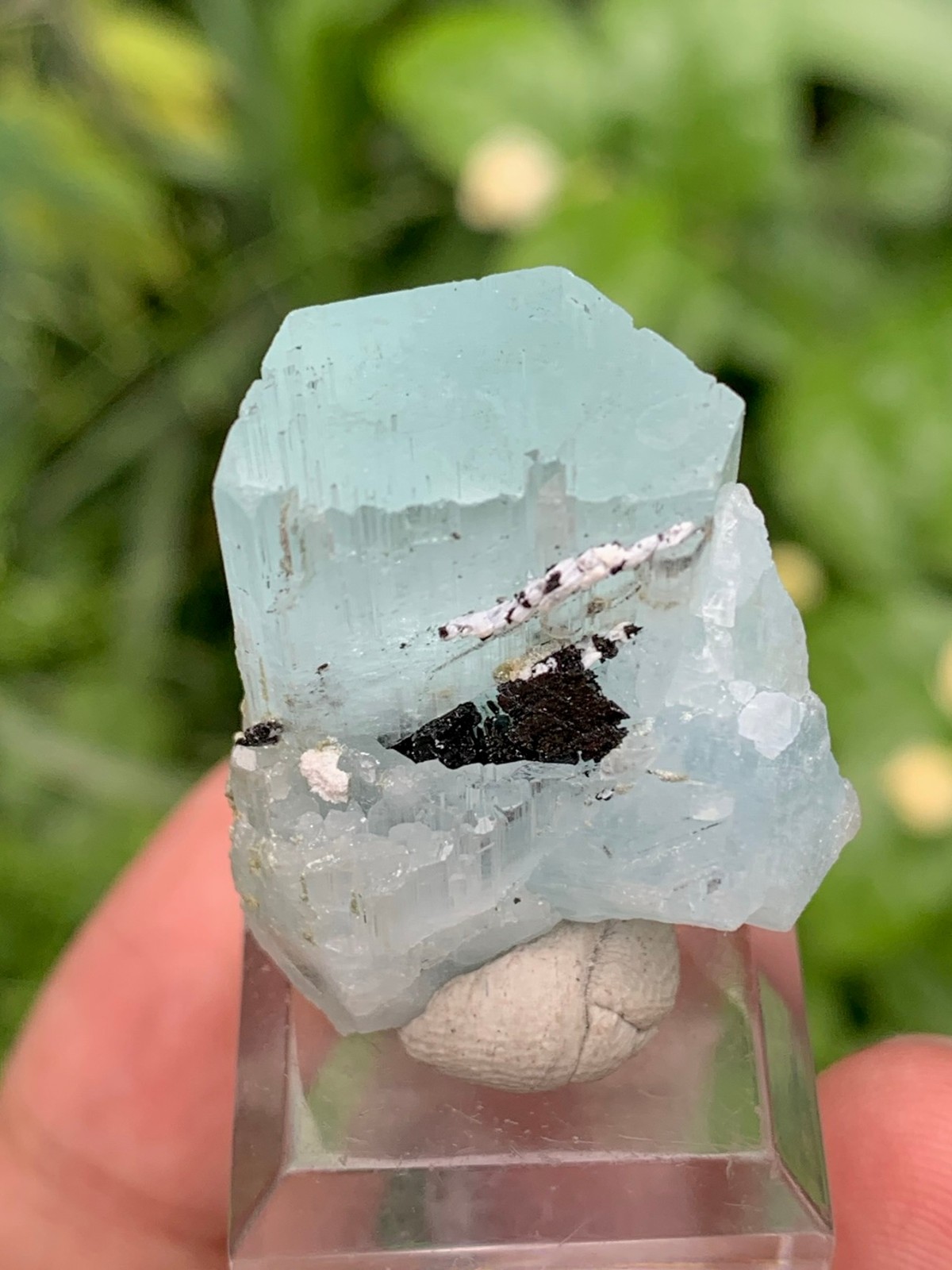 Natural Sky Blue Aquamarine Crystal With Schorl Tourmaline From Pakistan-15 Gram
