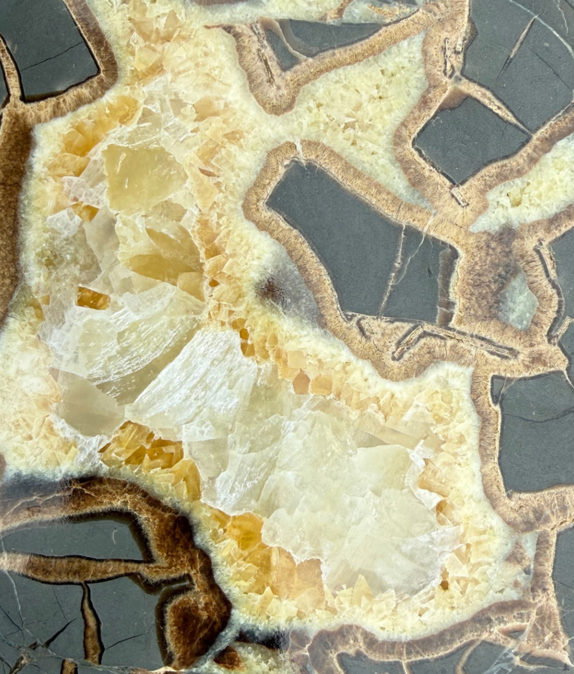 Polished Septarian Nodule Geode Calcite Crystal Display Stone