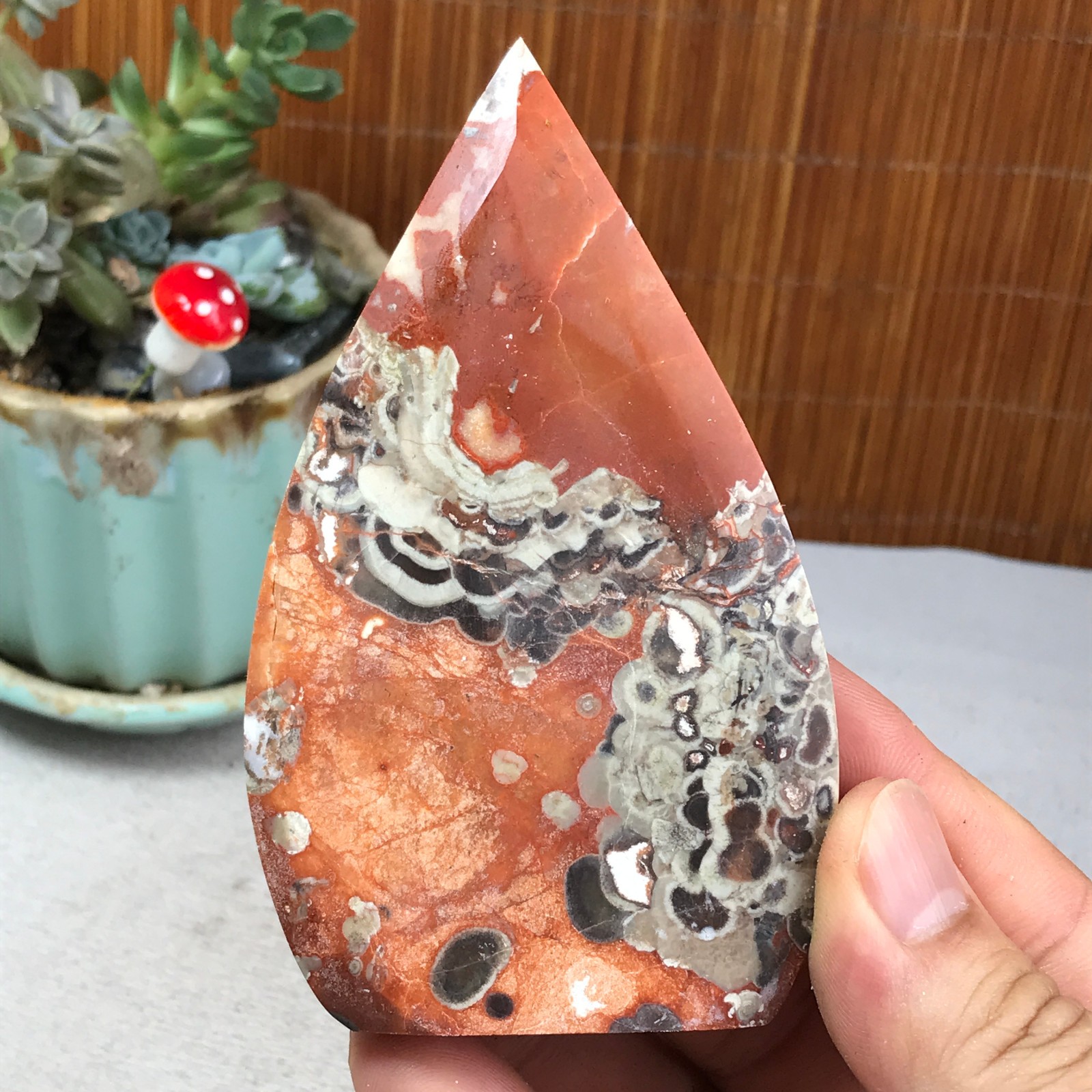 Natural money Mexico agate hand carve leaf Crystal Specimen free standing A6261